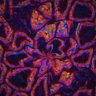 ShaderSlop: OKLCh Birefringent Snowflake
