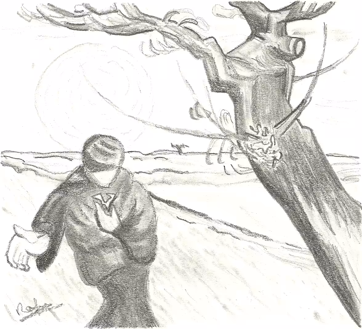 Tribute to Vincent 
