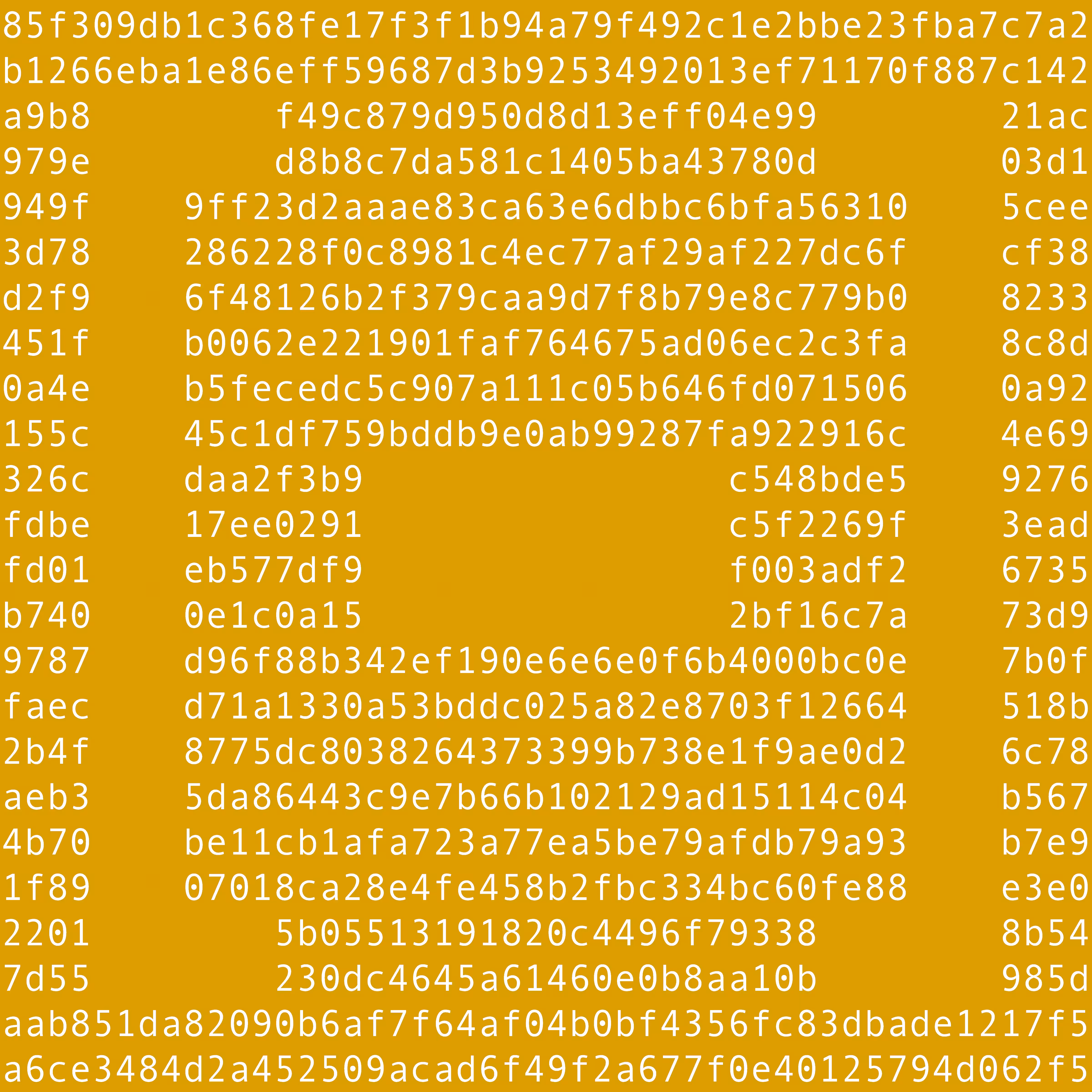 1111 #0629