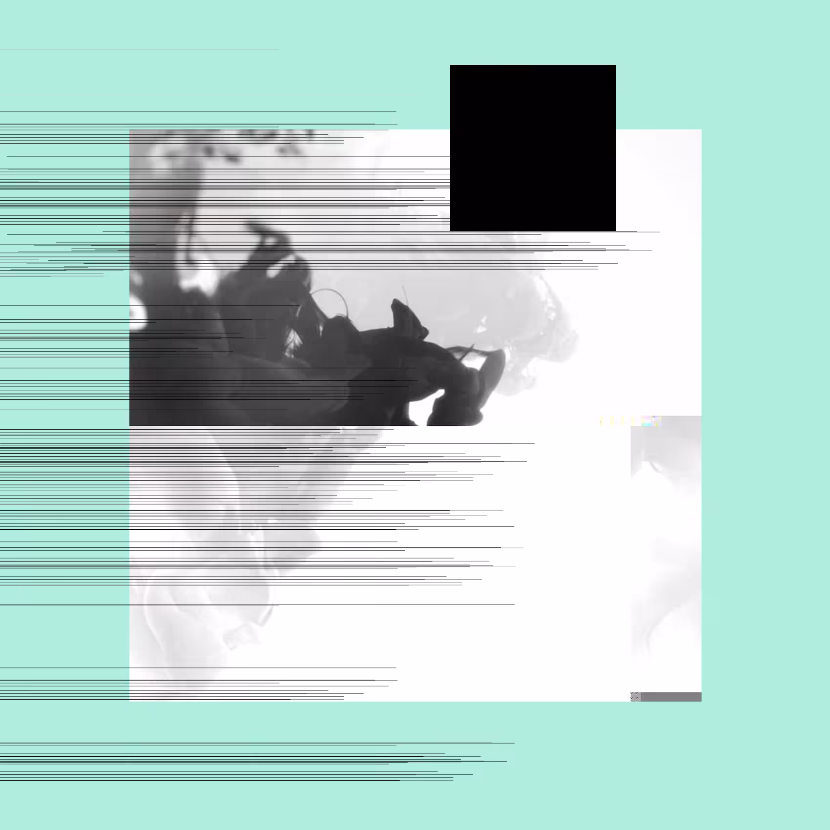 Motions #17
