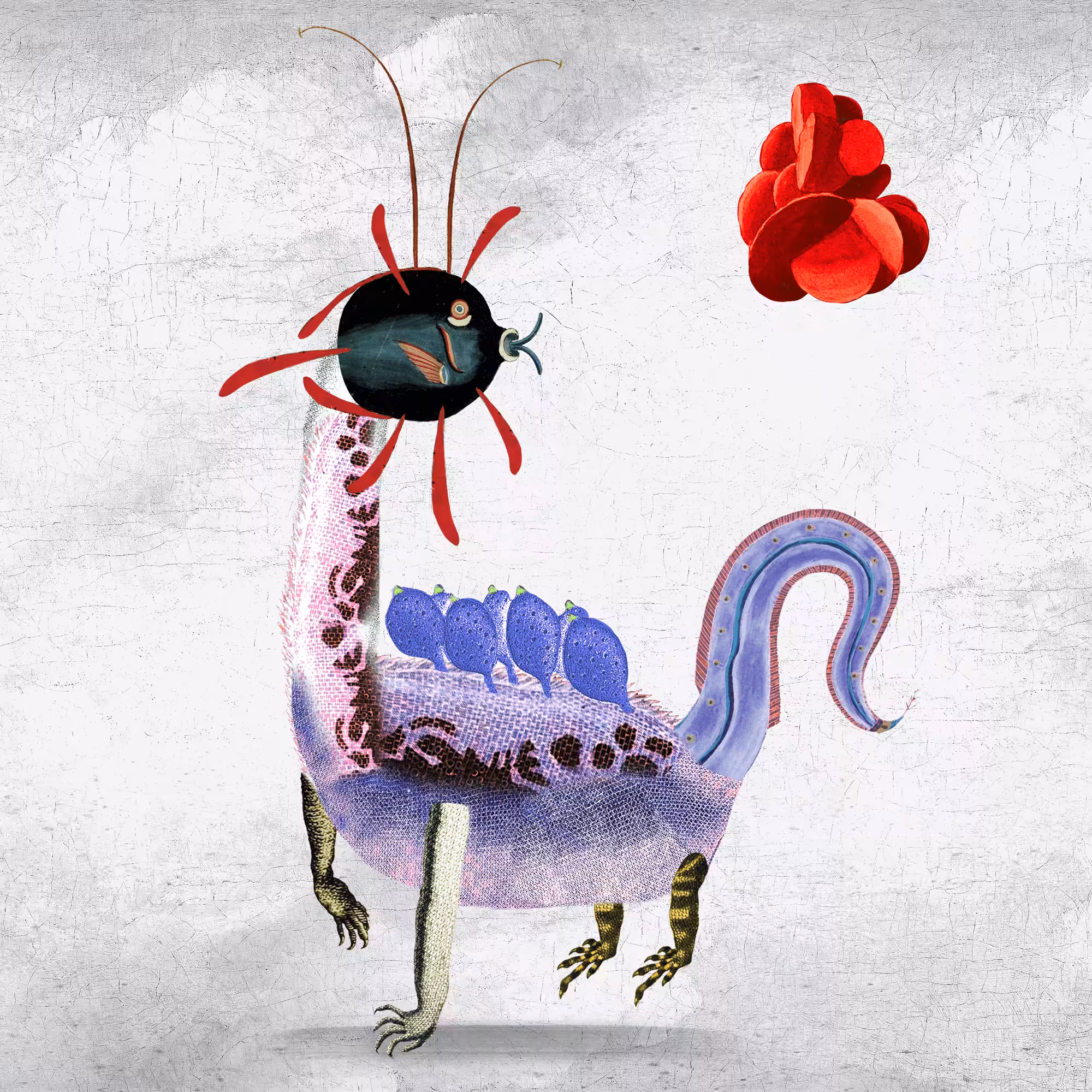 Impossible Creature #40