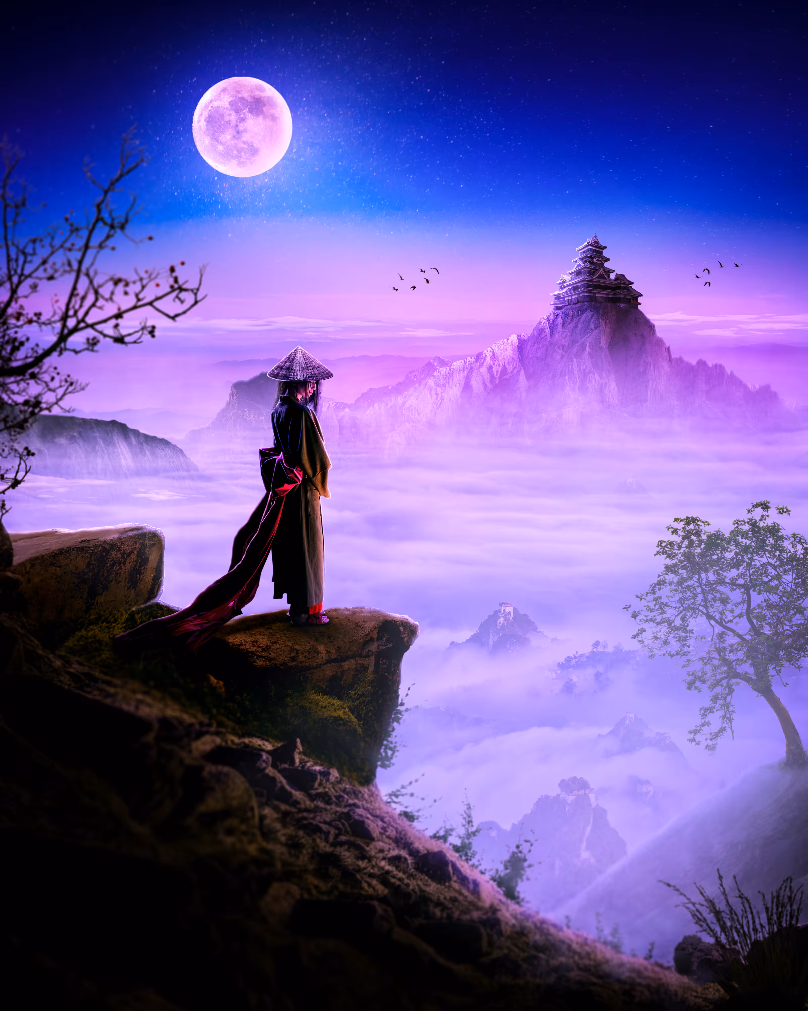 The Silent samurai