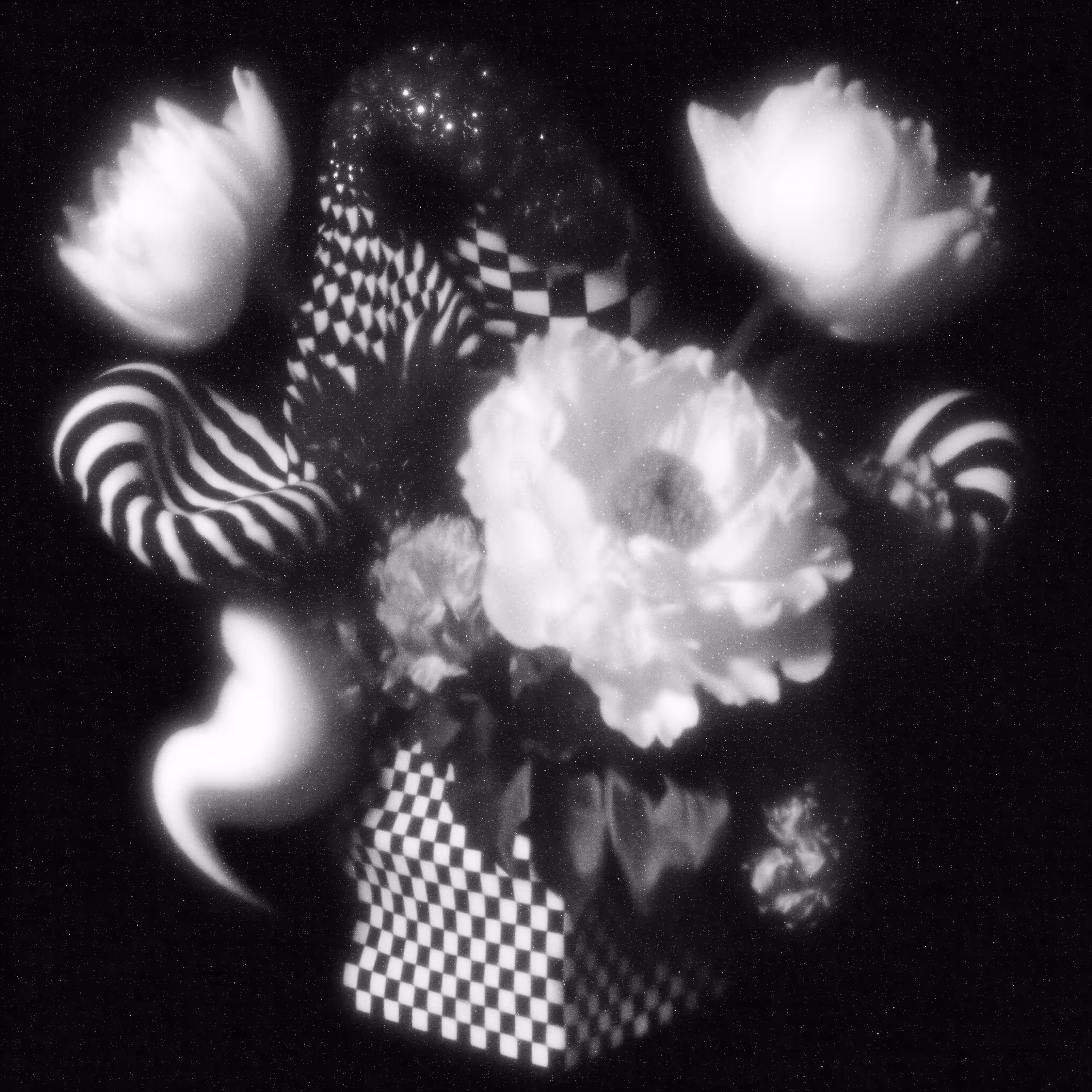 Petals Dissolving Into Spirals