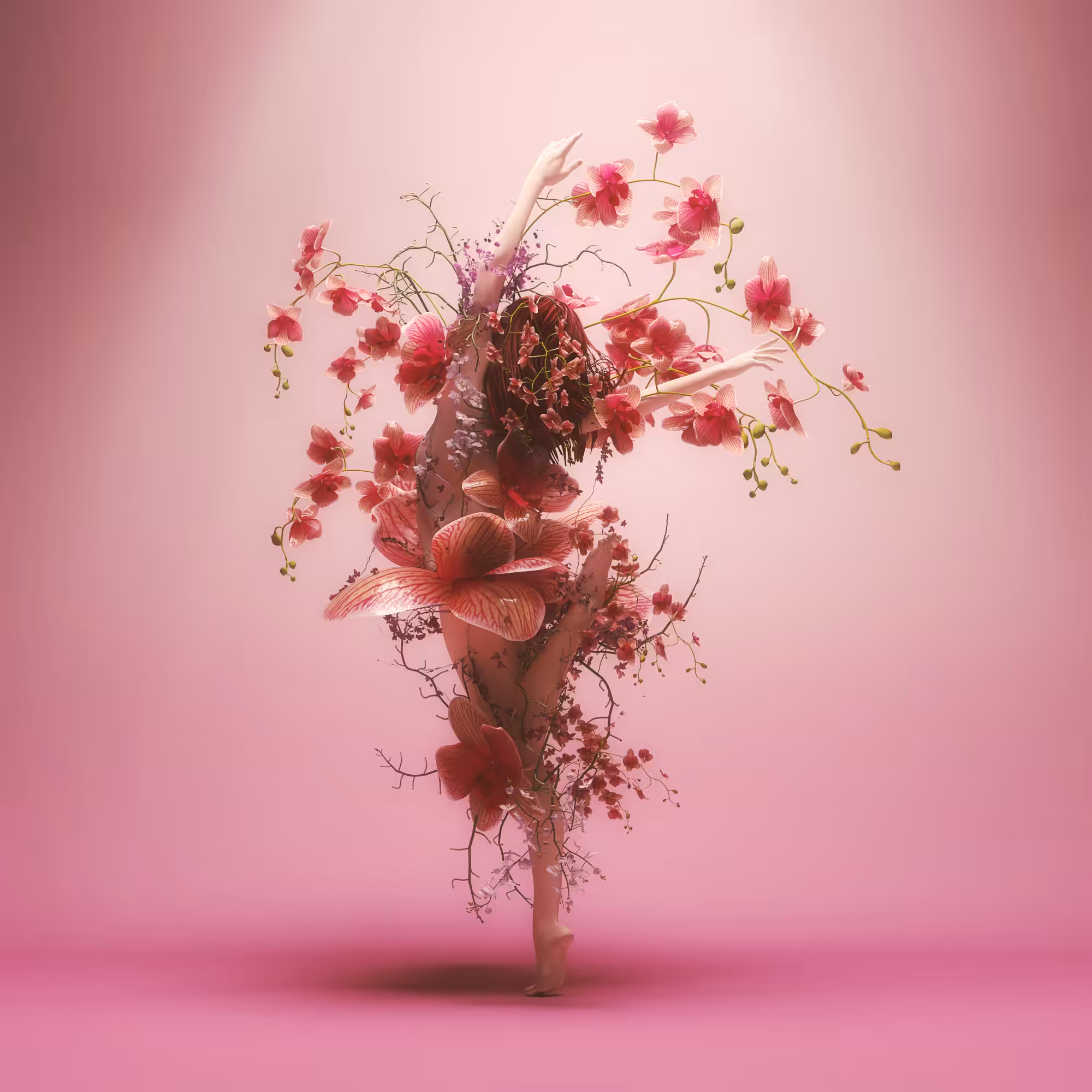 Pink Dancer