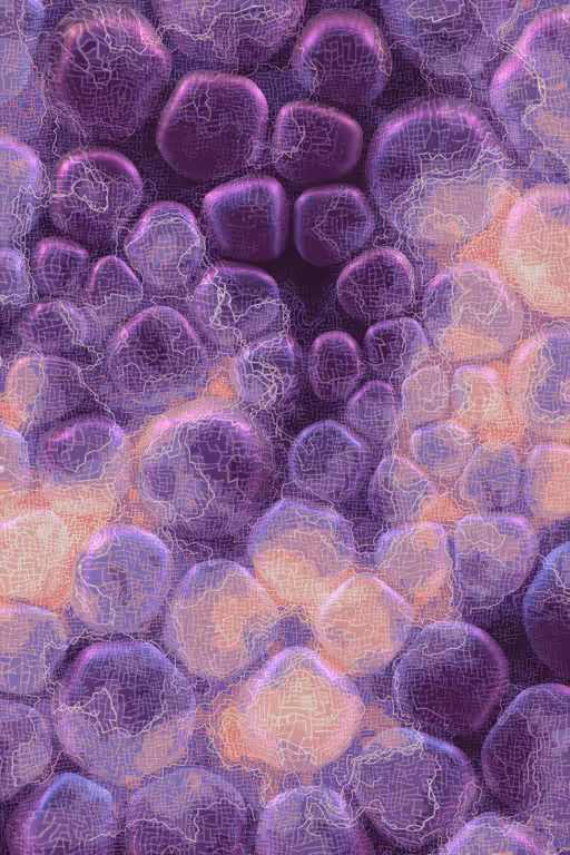 Vitreous #7