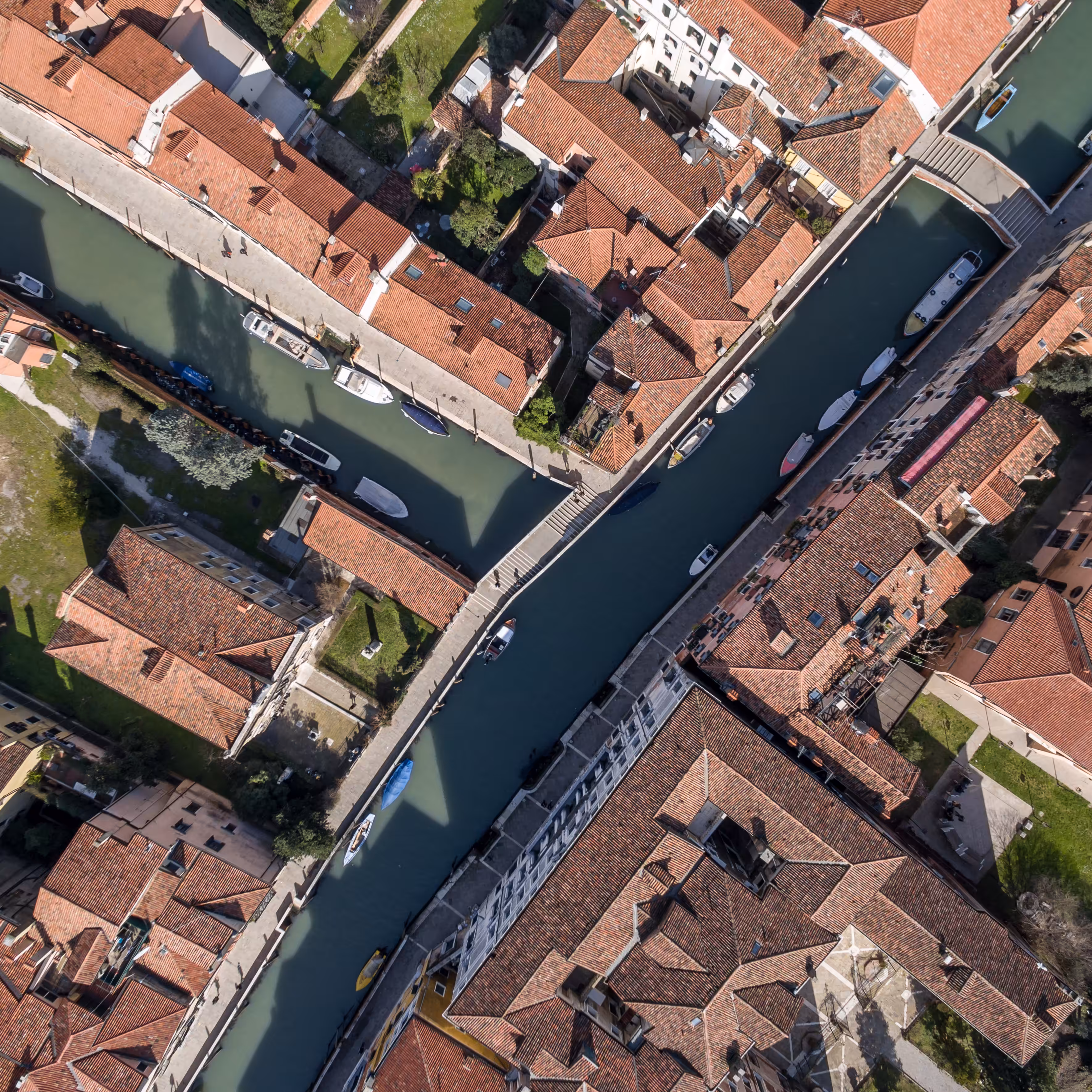 Crossings (Venice) 6/25