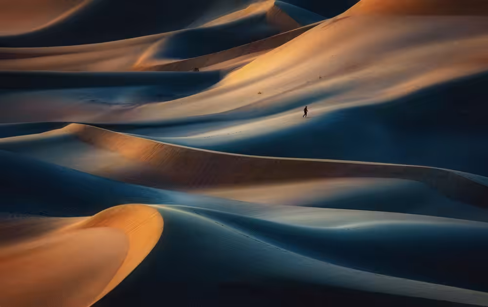 Magnificence Of Desert III