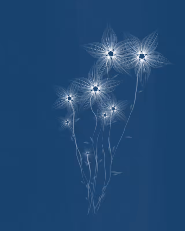 Cyanotypes #157
