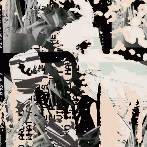 THE GENERATIVE PORTRAIT COLLECTION OF ROBERT MALLARY: Generative Portrait of Robert Mallary #1205