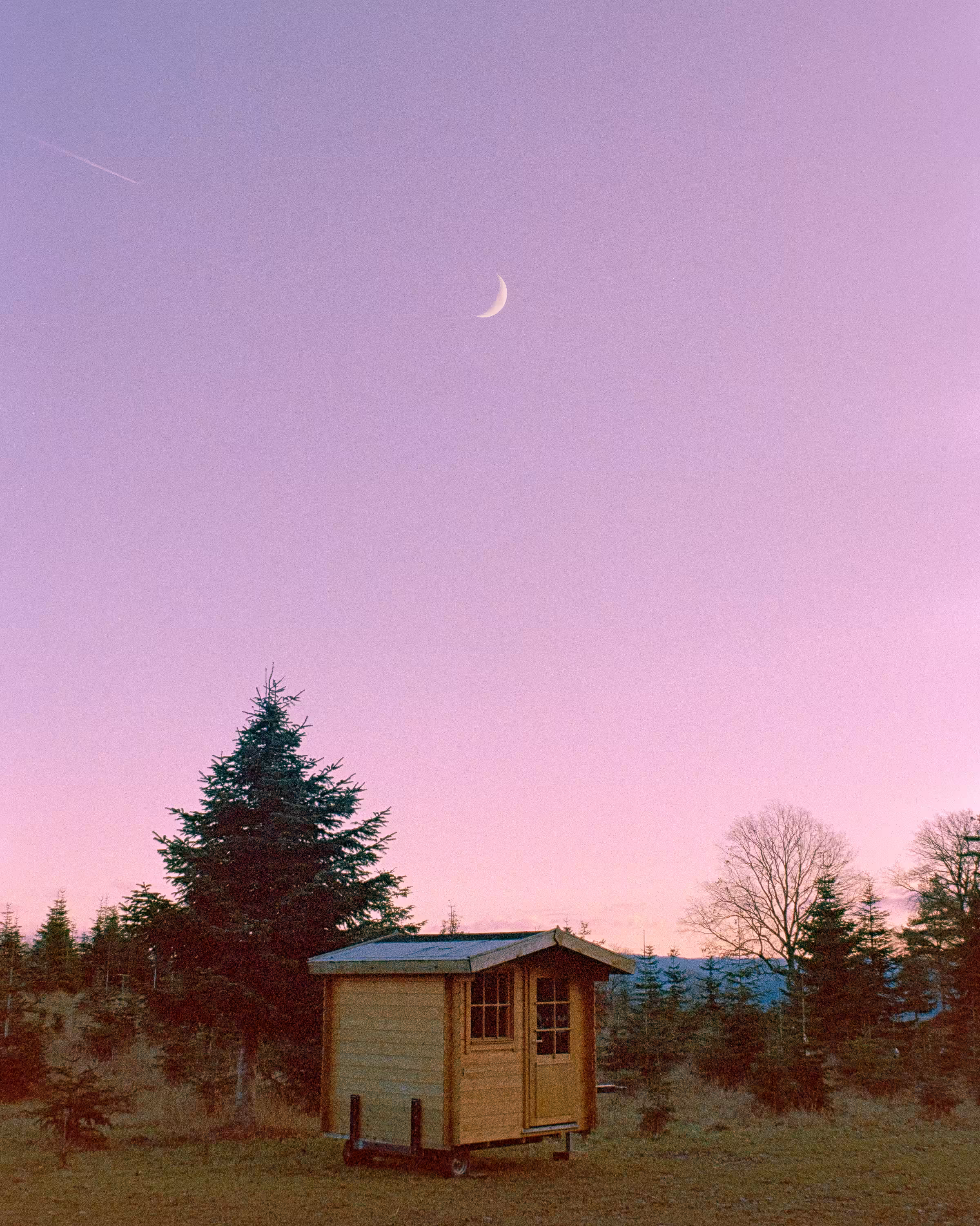 Into The Night