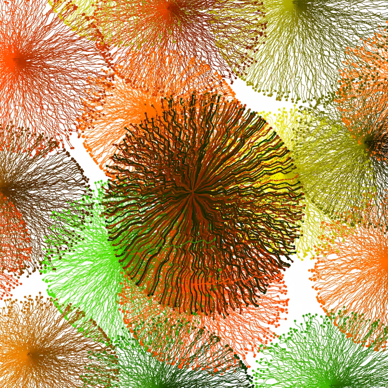 CircuWeb #22