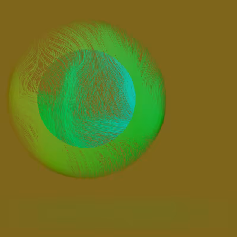 Orbit #19