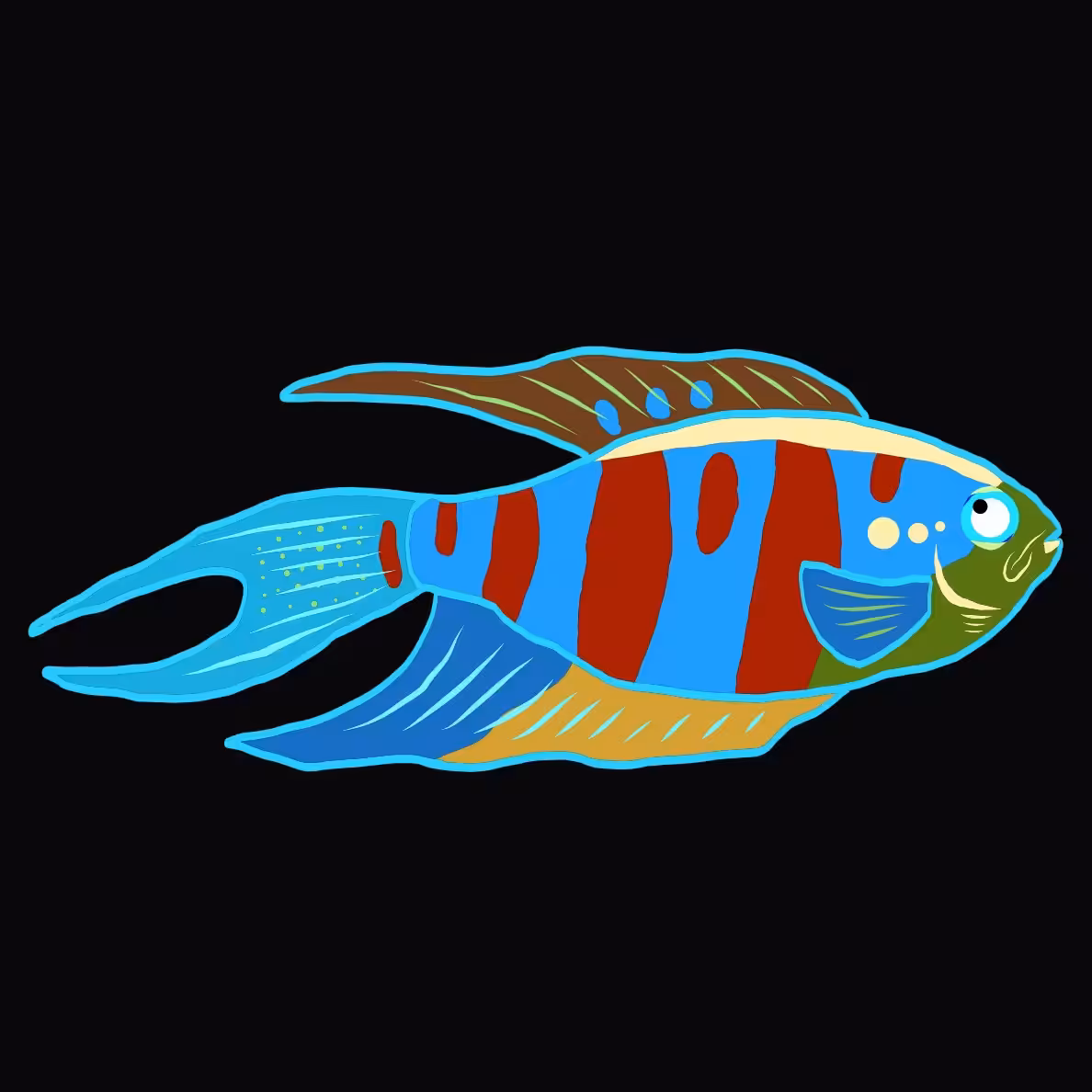 Cheyenne the paradise fish