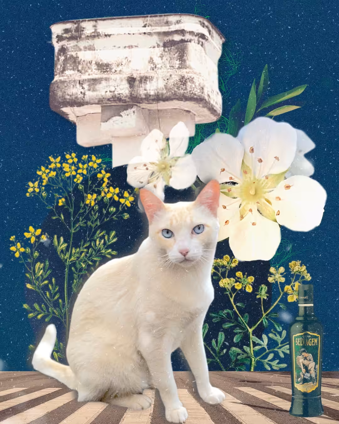 Catuaba