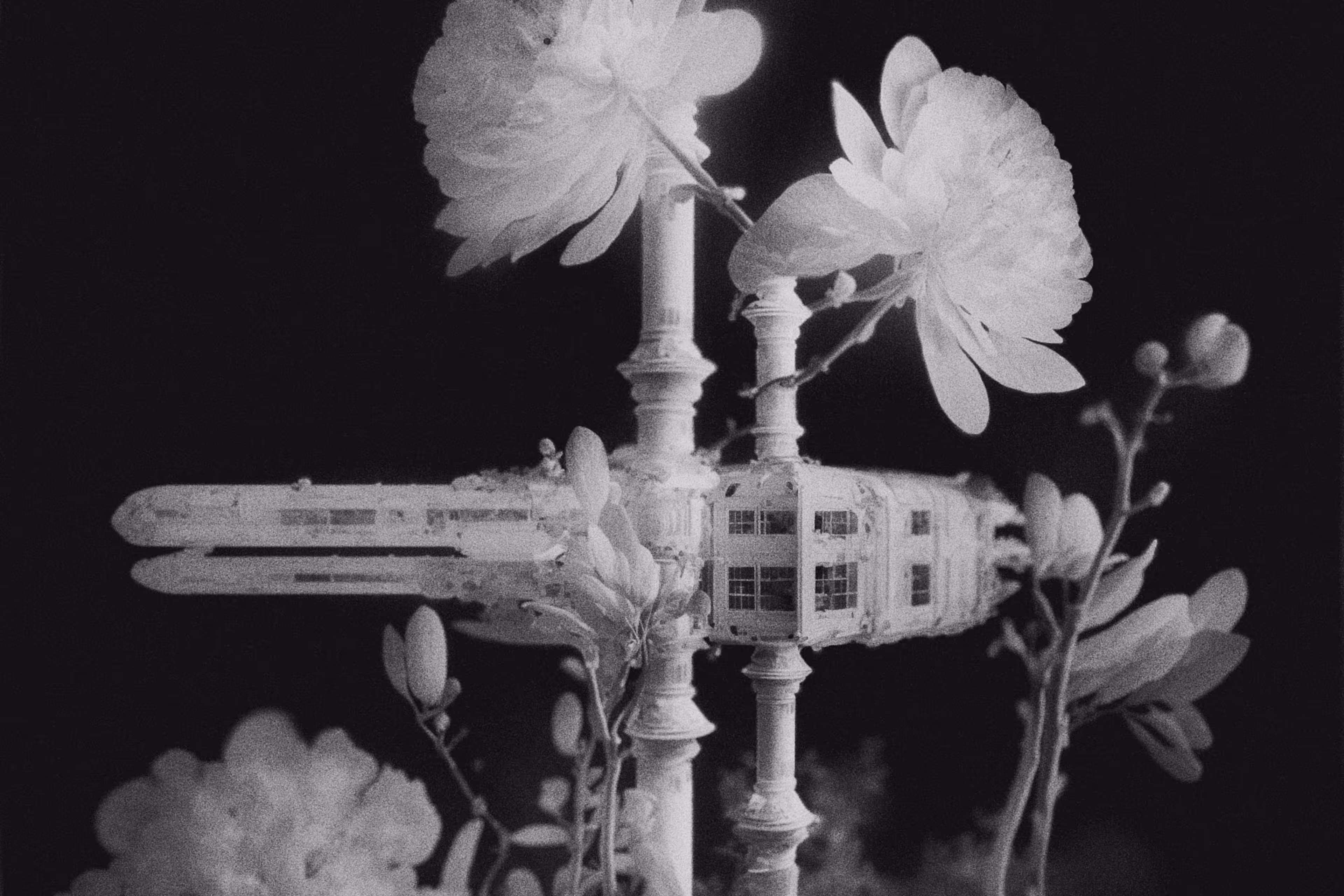 The Infinite Palace