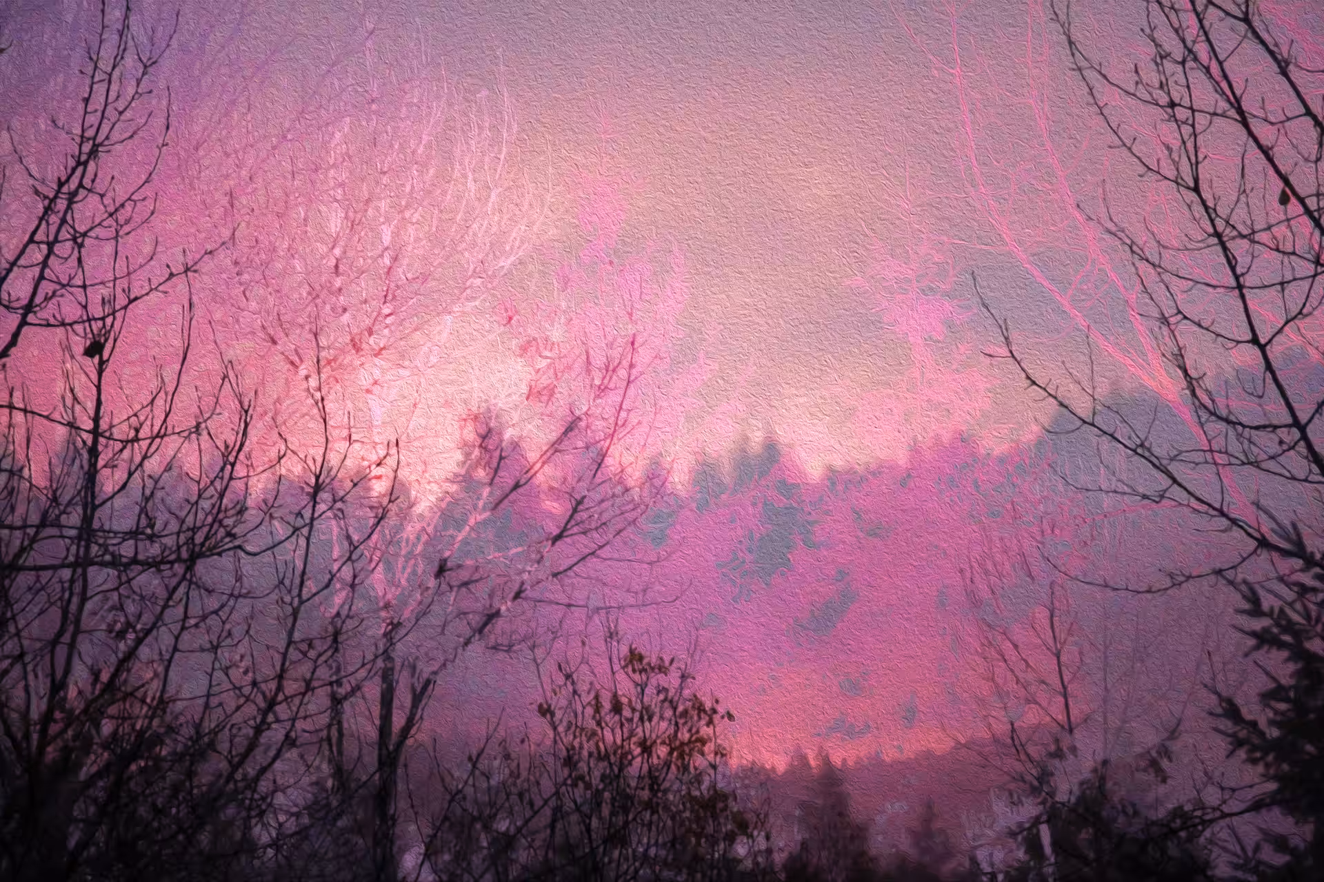 Summer Night Dreams