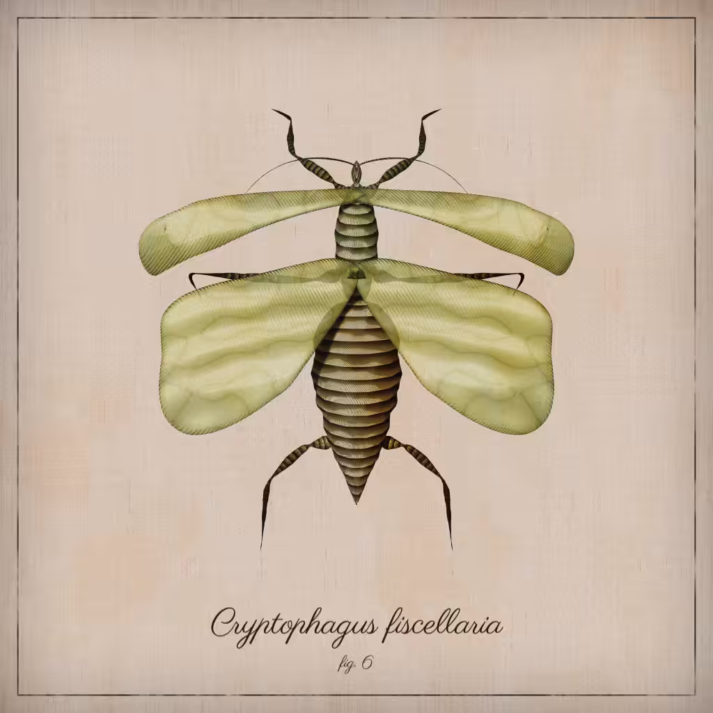 ProcGen Entomology #121
