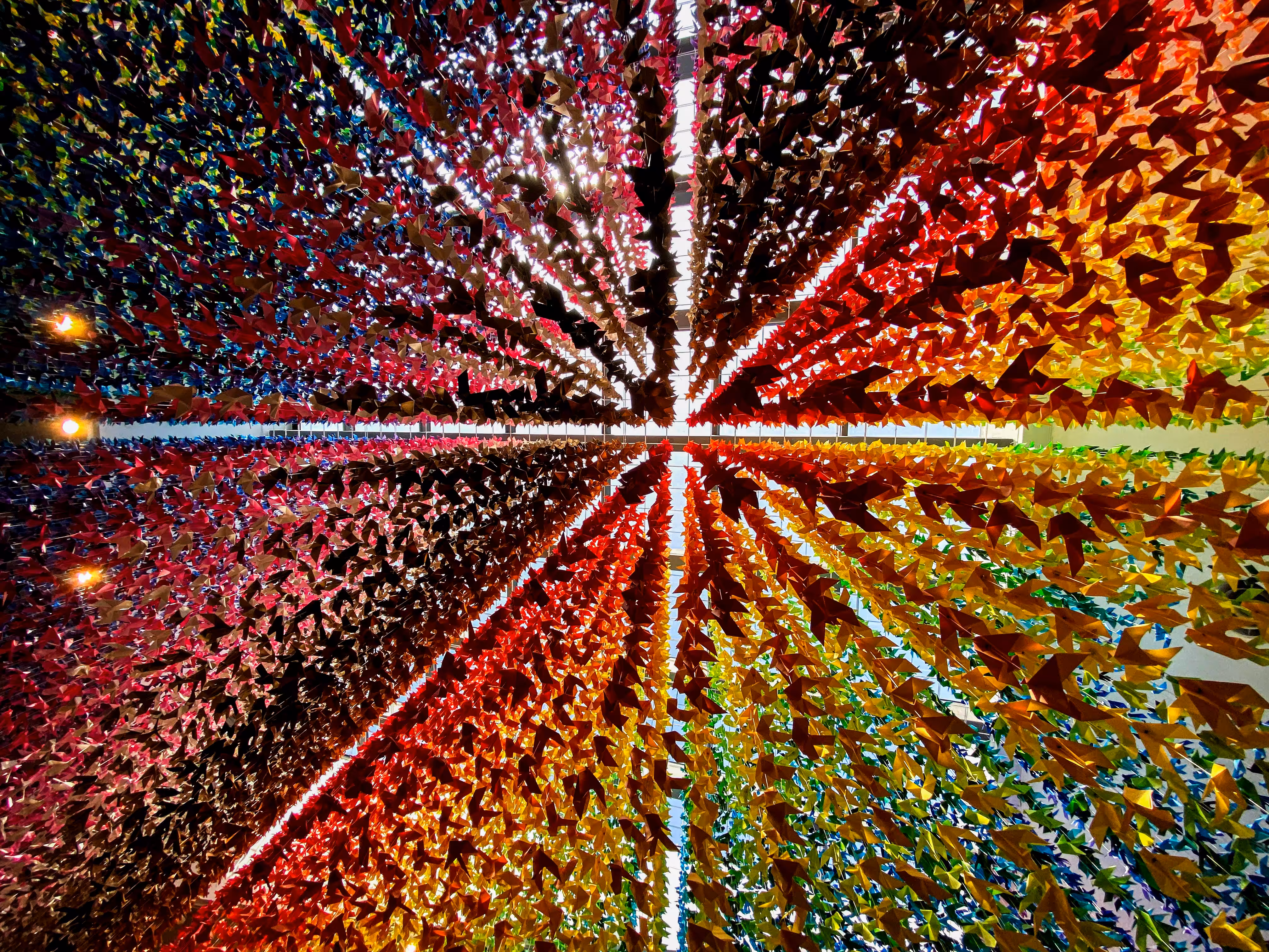 Radiant Wings of Color