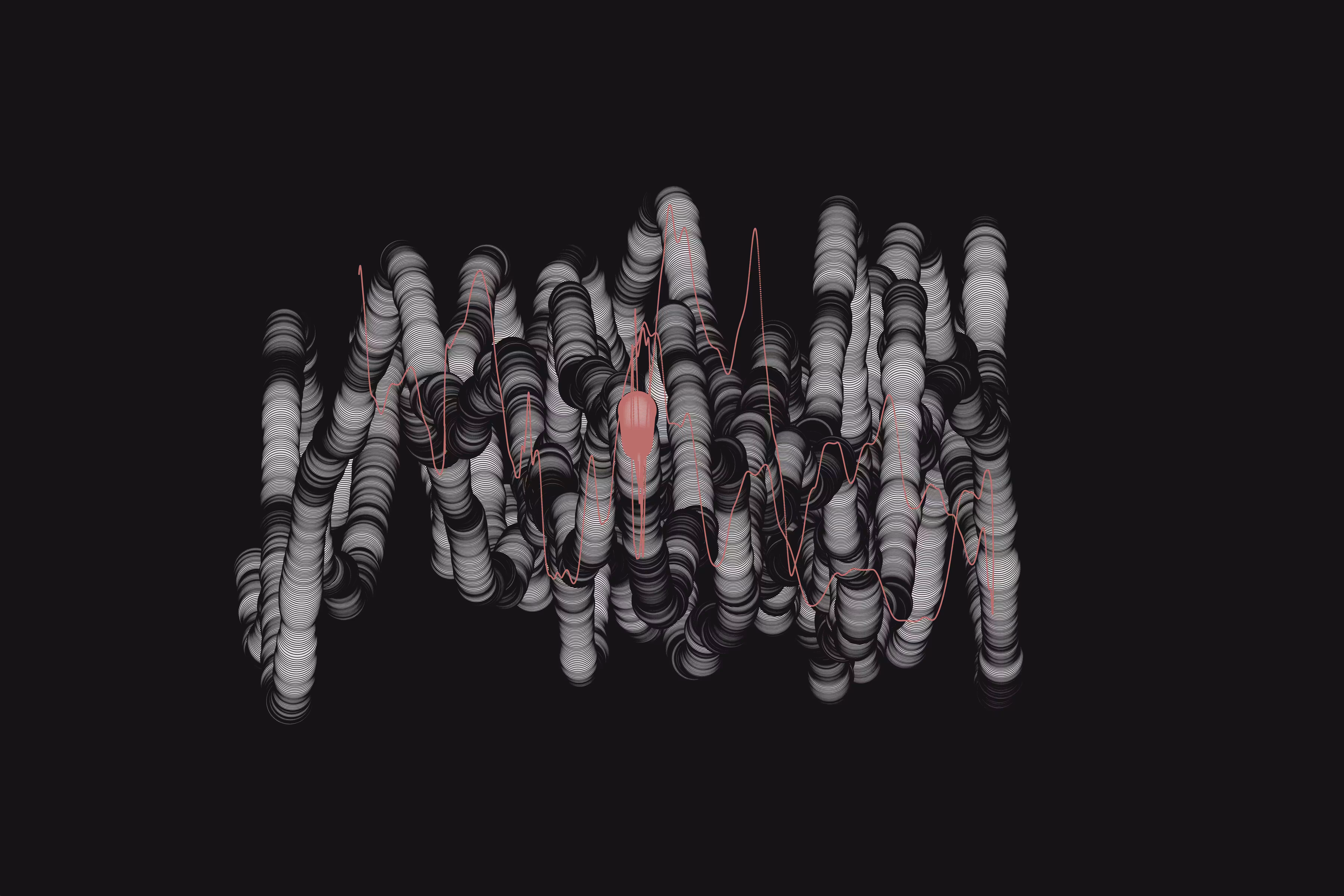 Araneae