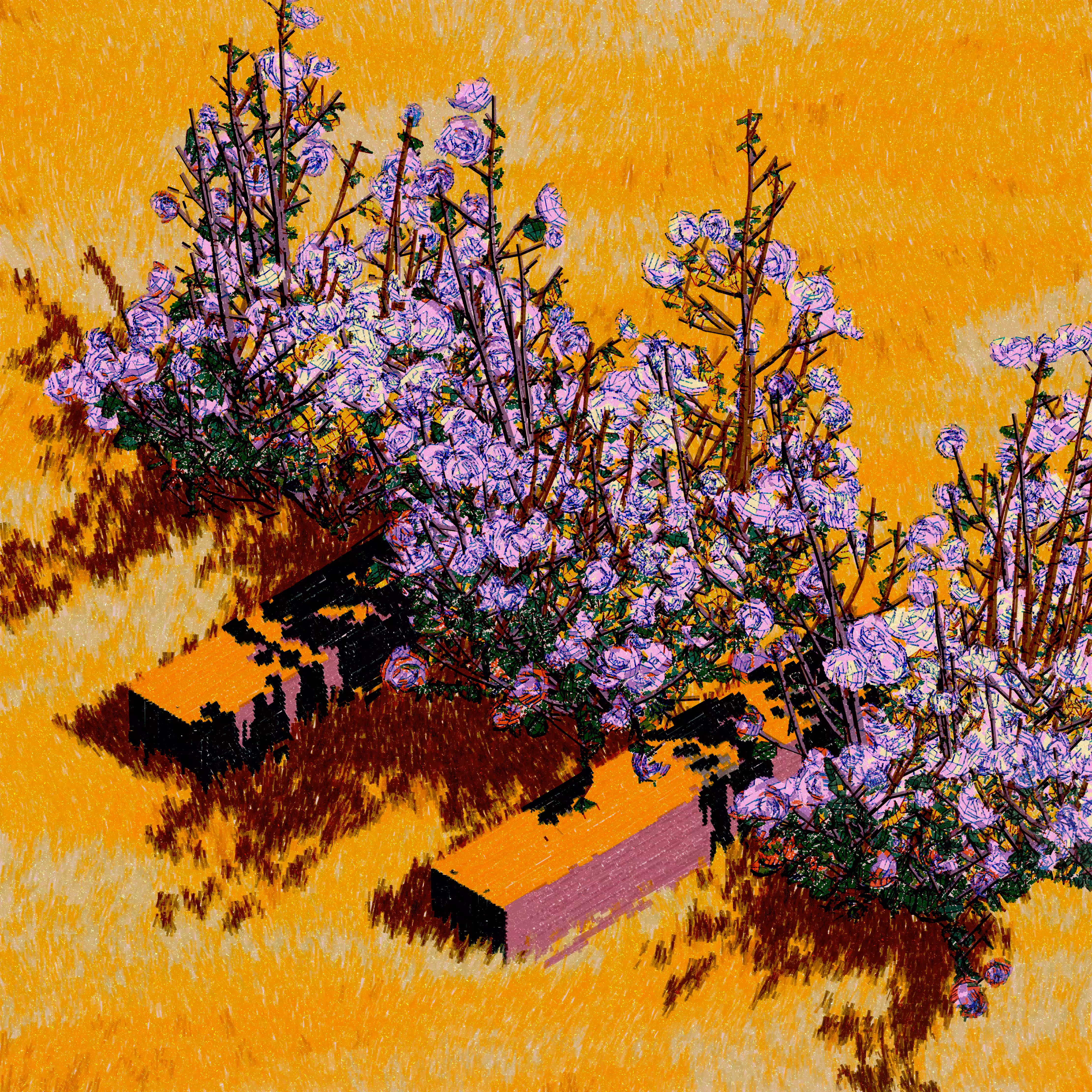 Sunlight through Wild Roses #12