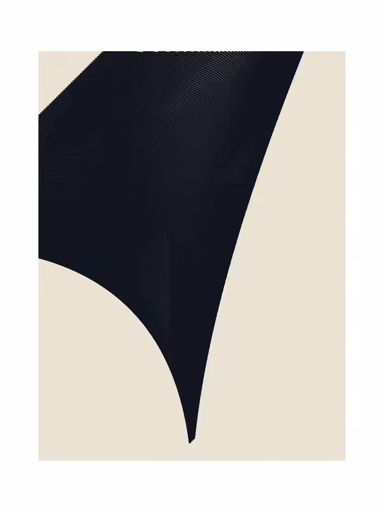 The Shape of Time #1