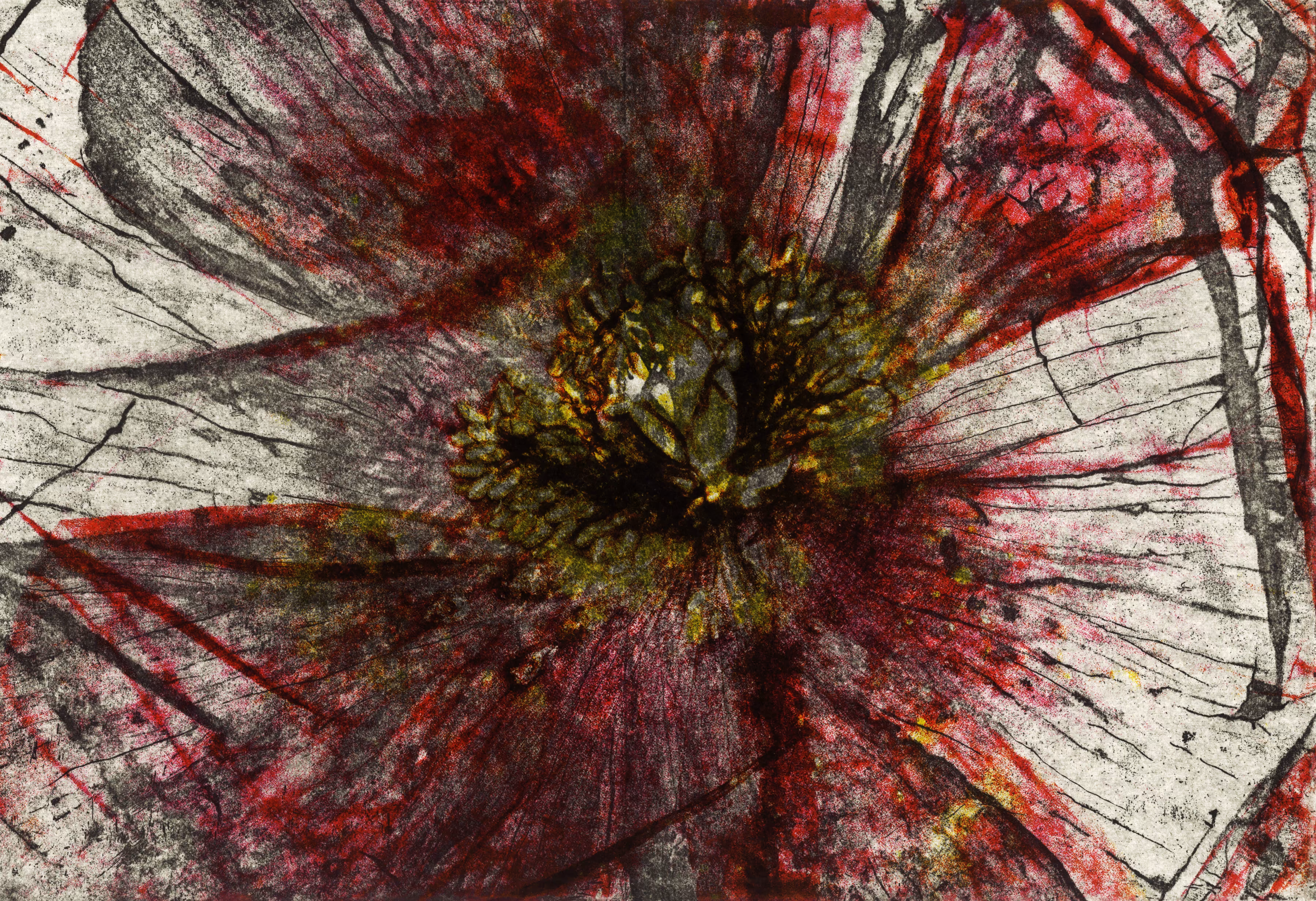 poppy#9487