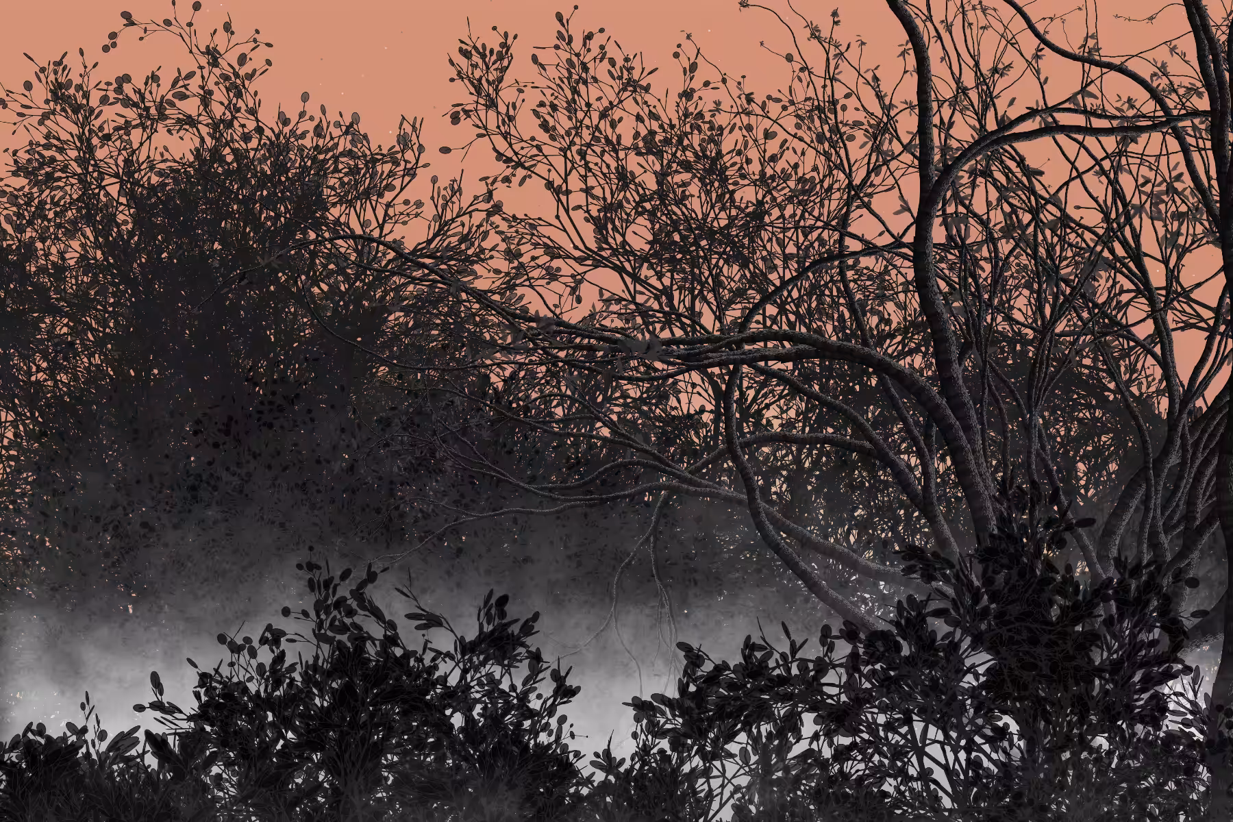 Morning Mist #5