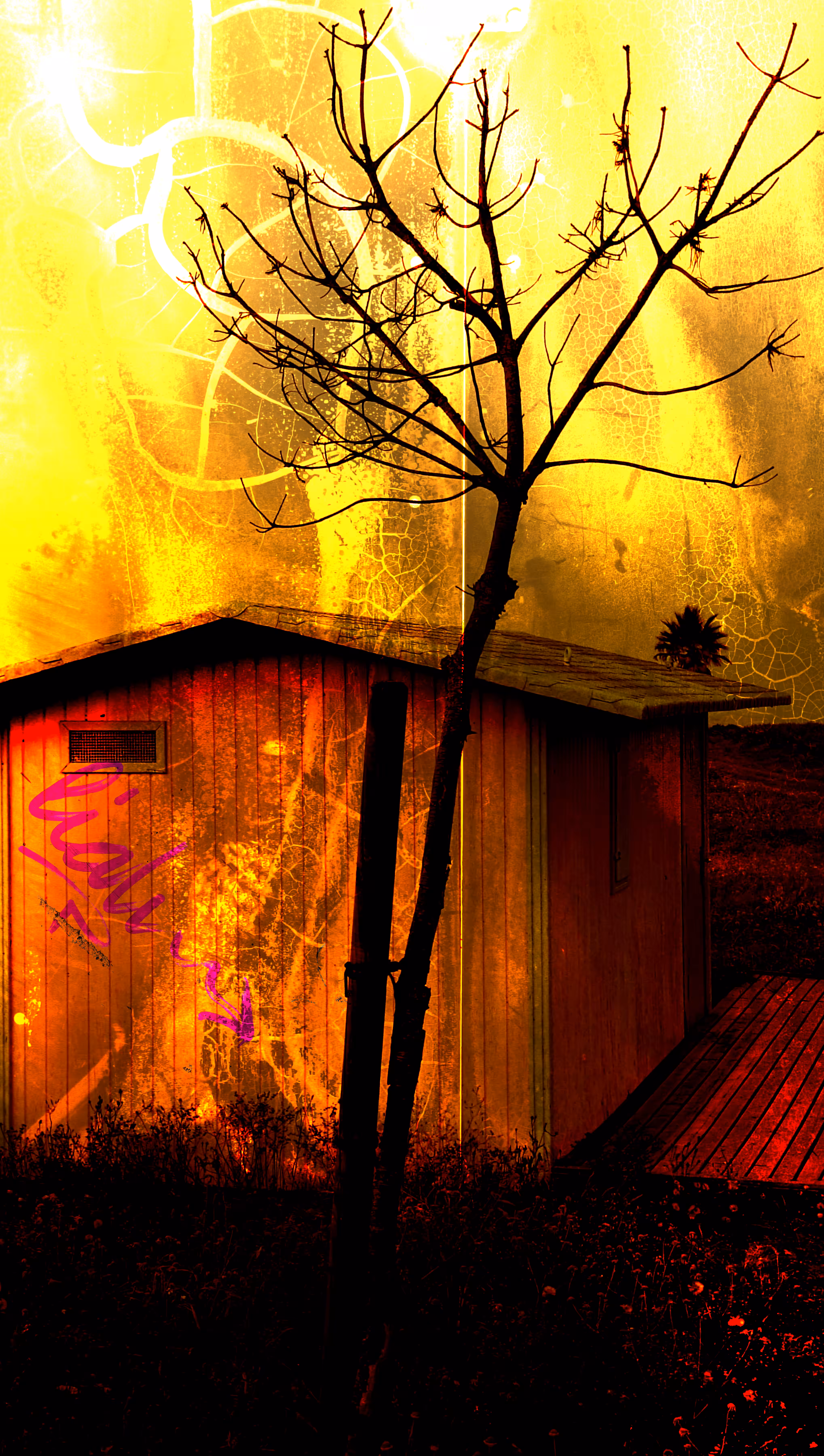 The House of the Last Sun