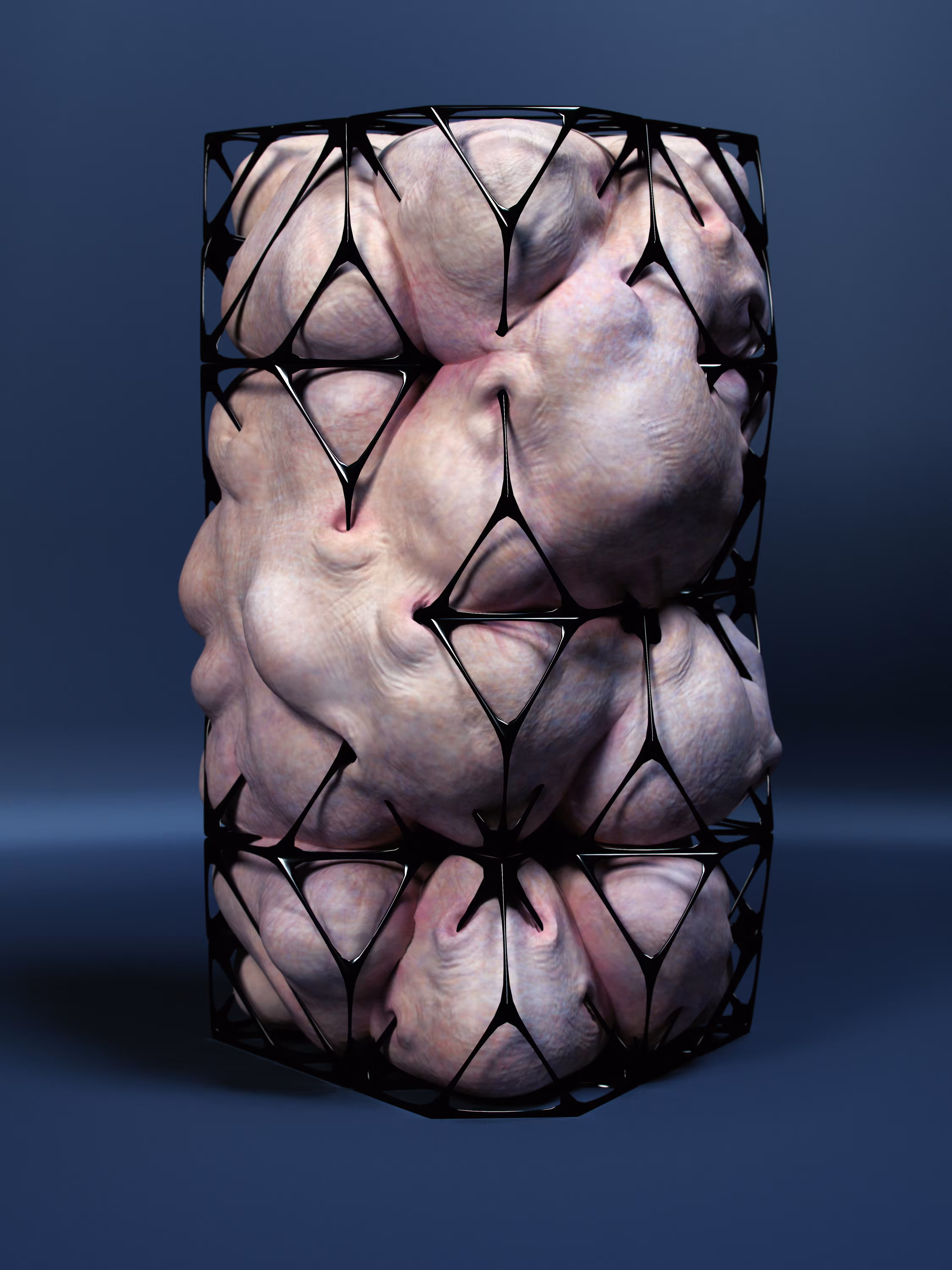 Biostructure III