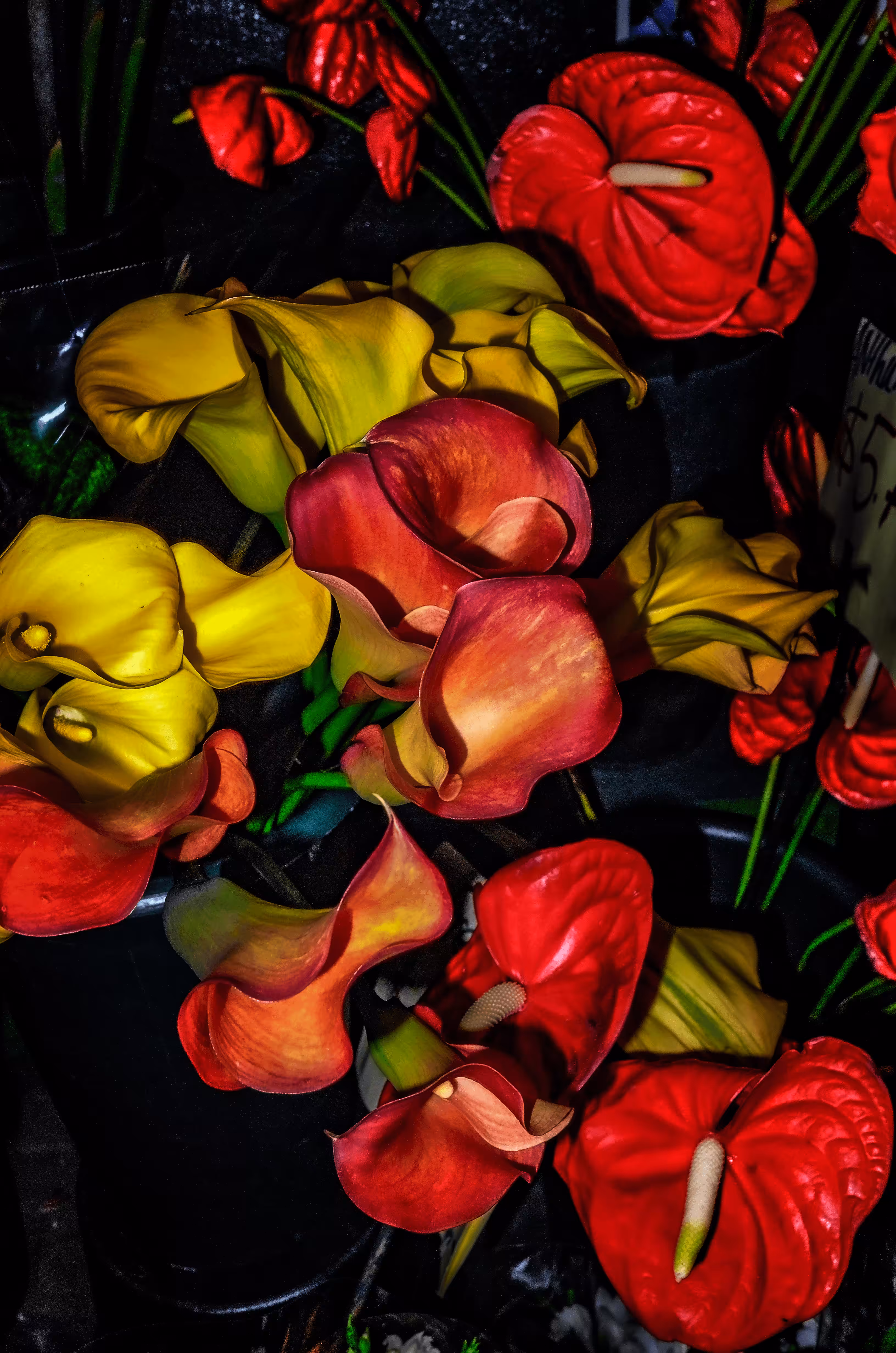 Alphabet City Blooms