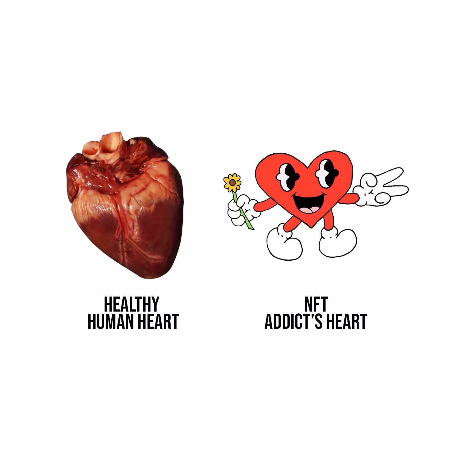 Healthy Heart Vs. Addict's Heart by Gallardo