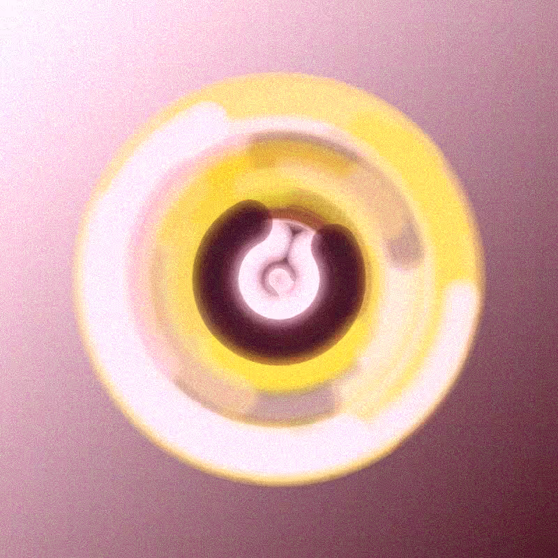Wisp #534