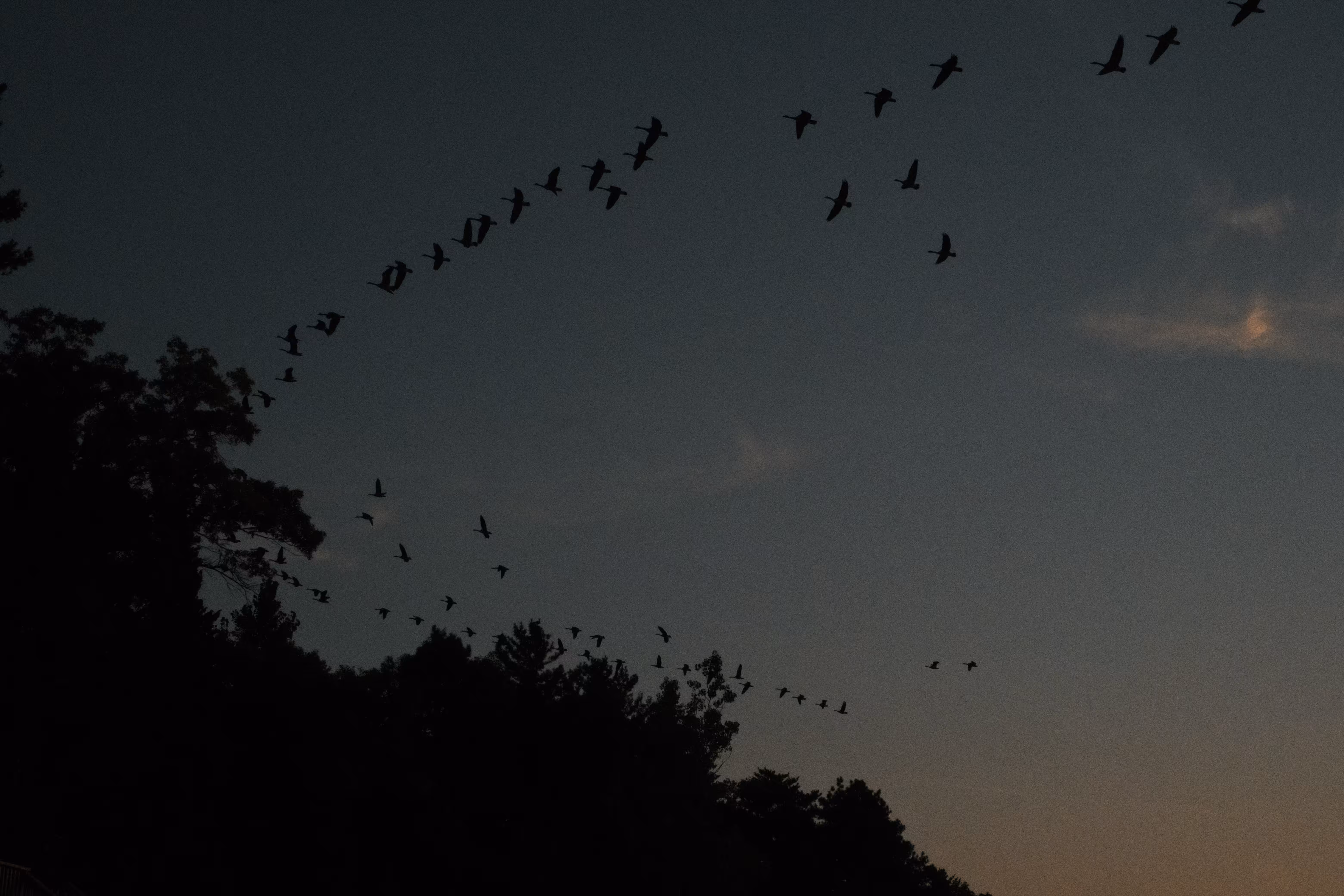 night 001