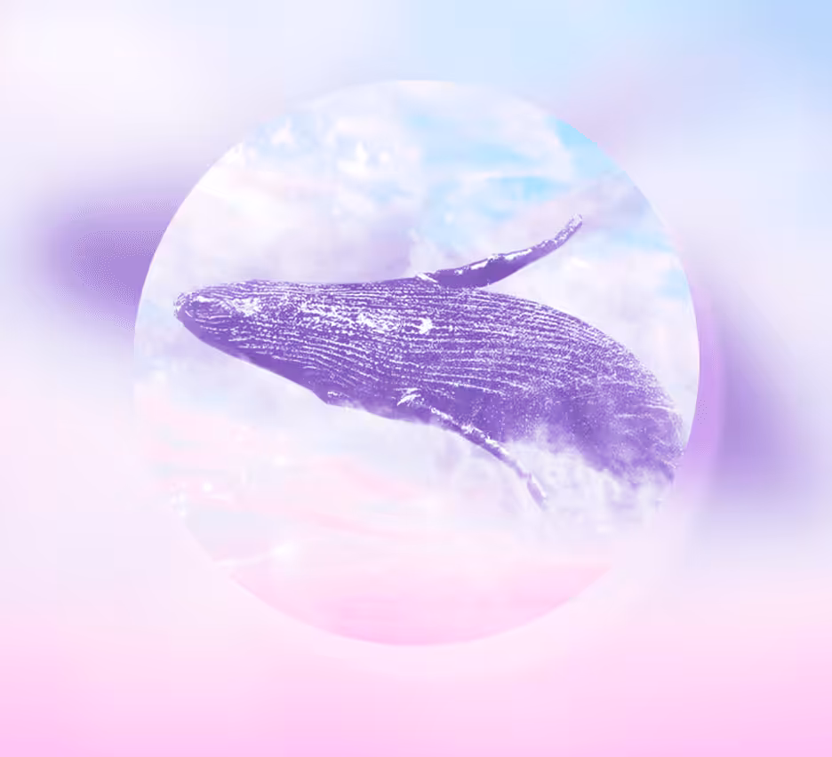 [Round #4] Beautiful whale.