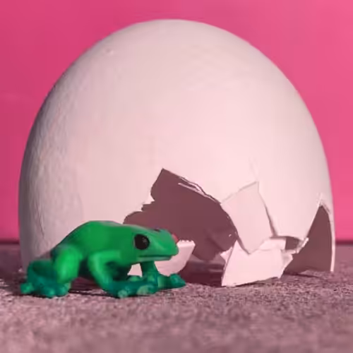 Anonymous Nobody Official: Space Frog & Dwelling
