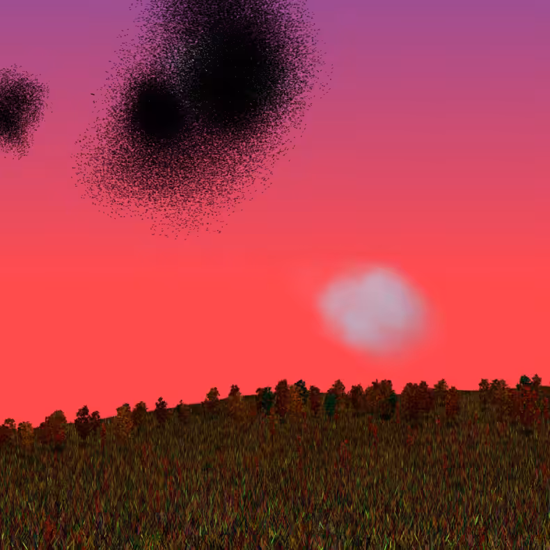 Starlings #11