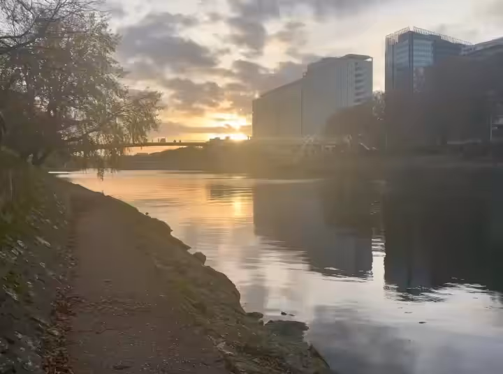 Go with the flow #3