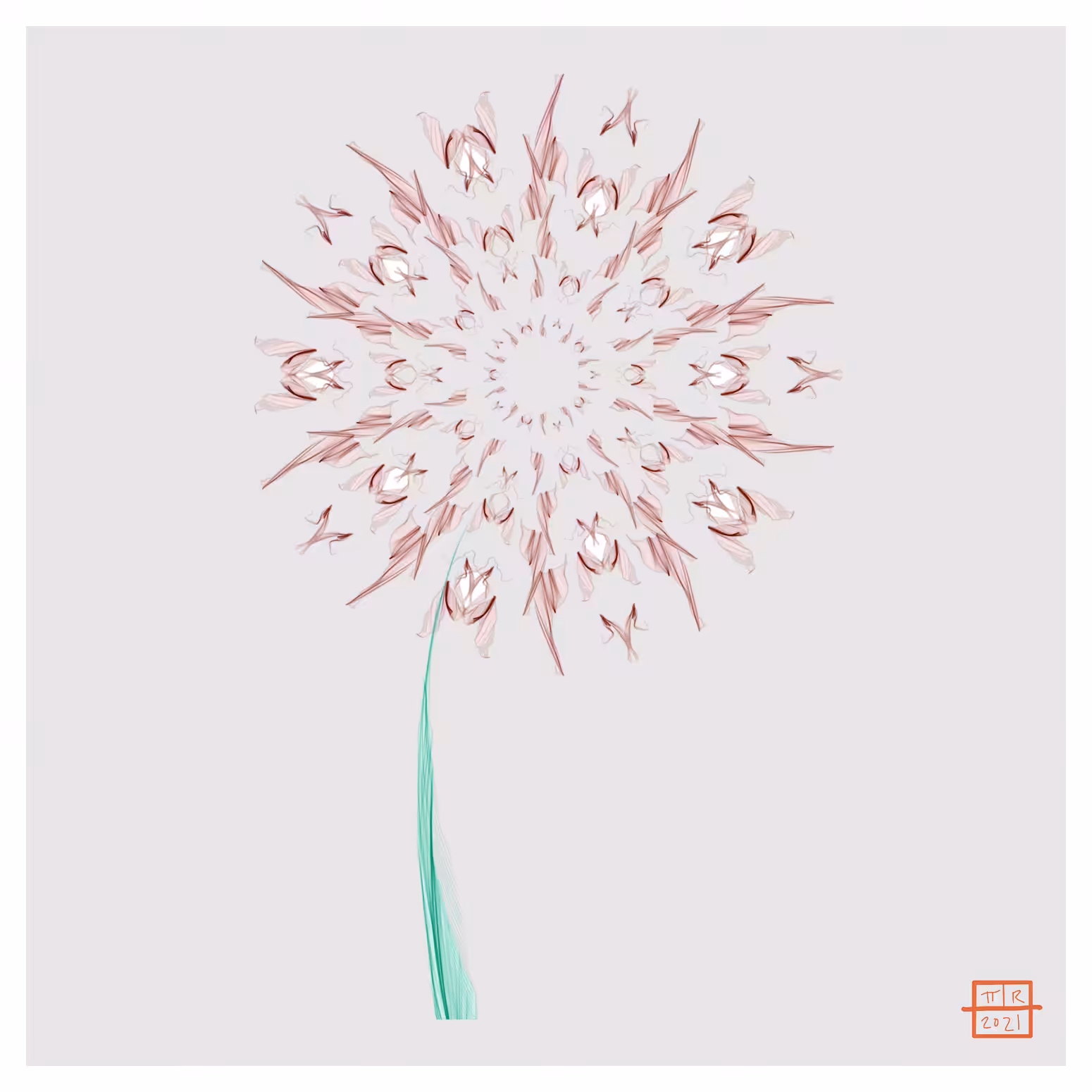 Dandelion