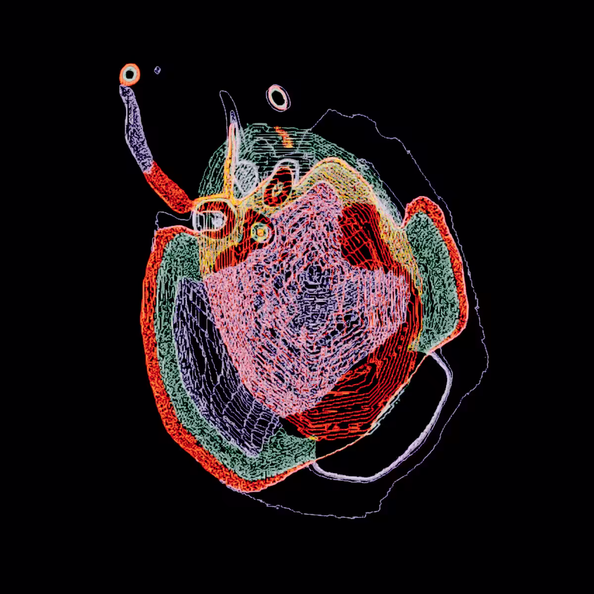m2202220227png1200x1200