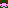 axolotl2