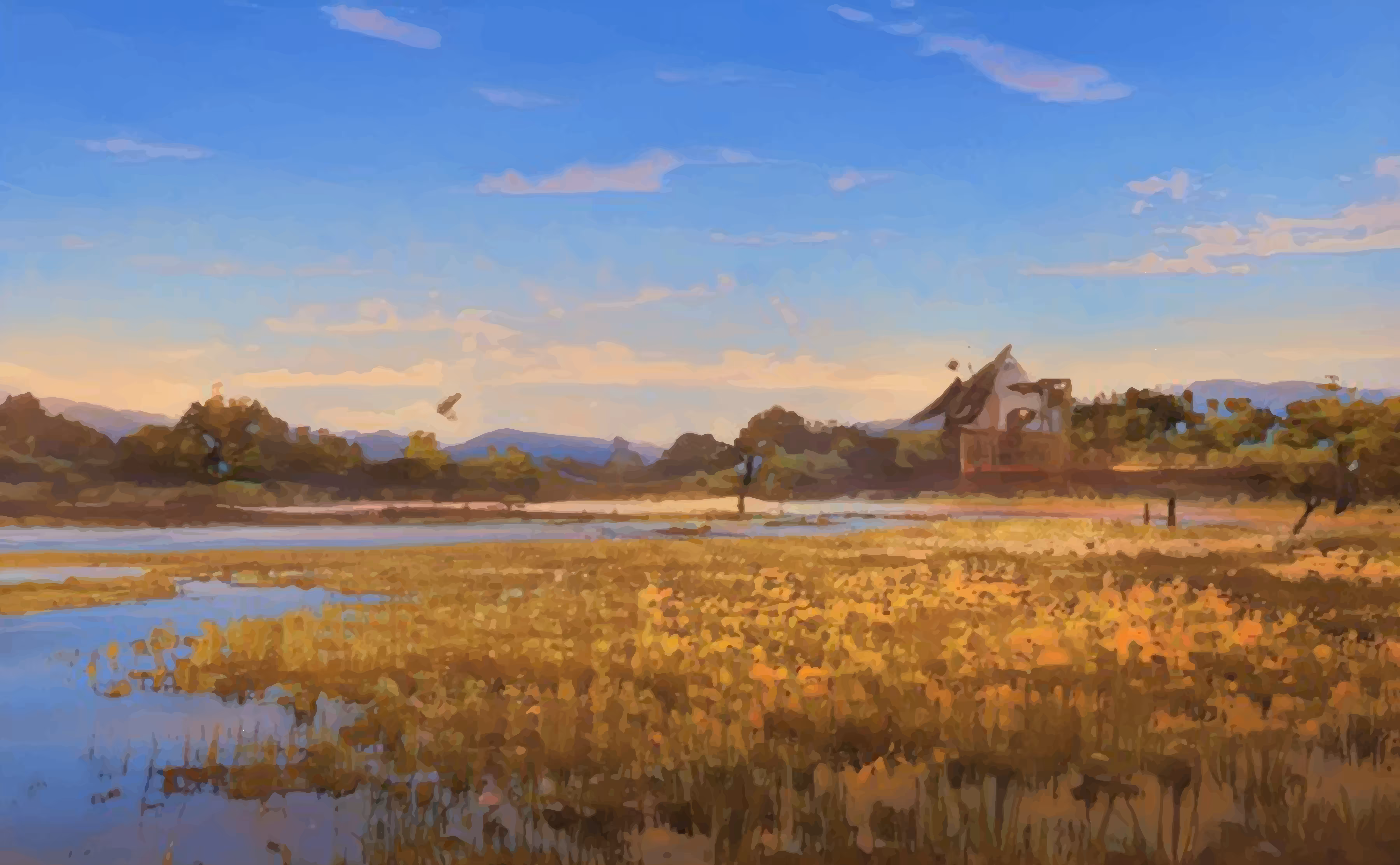 Quiet place