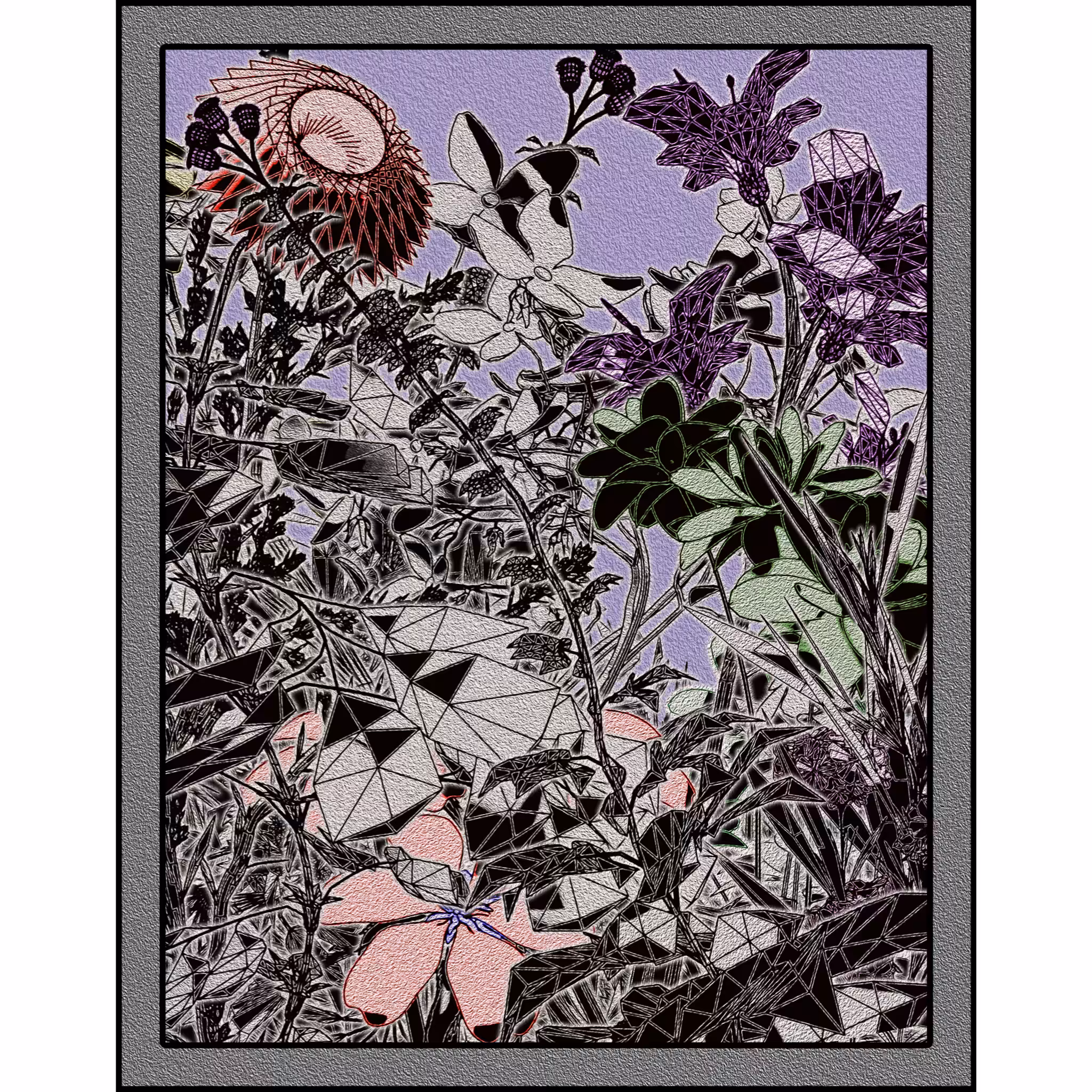 Flower View #162