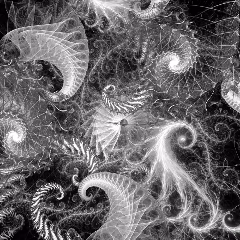 Inner Spiral #50