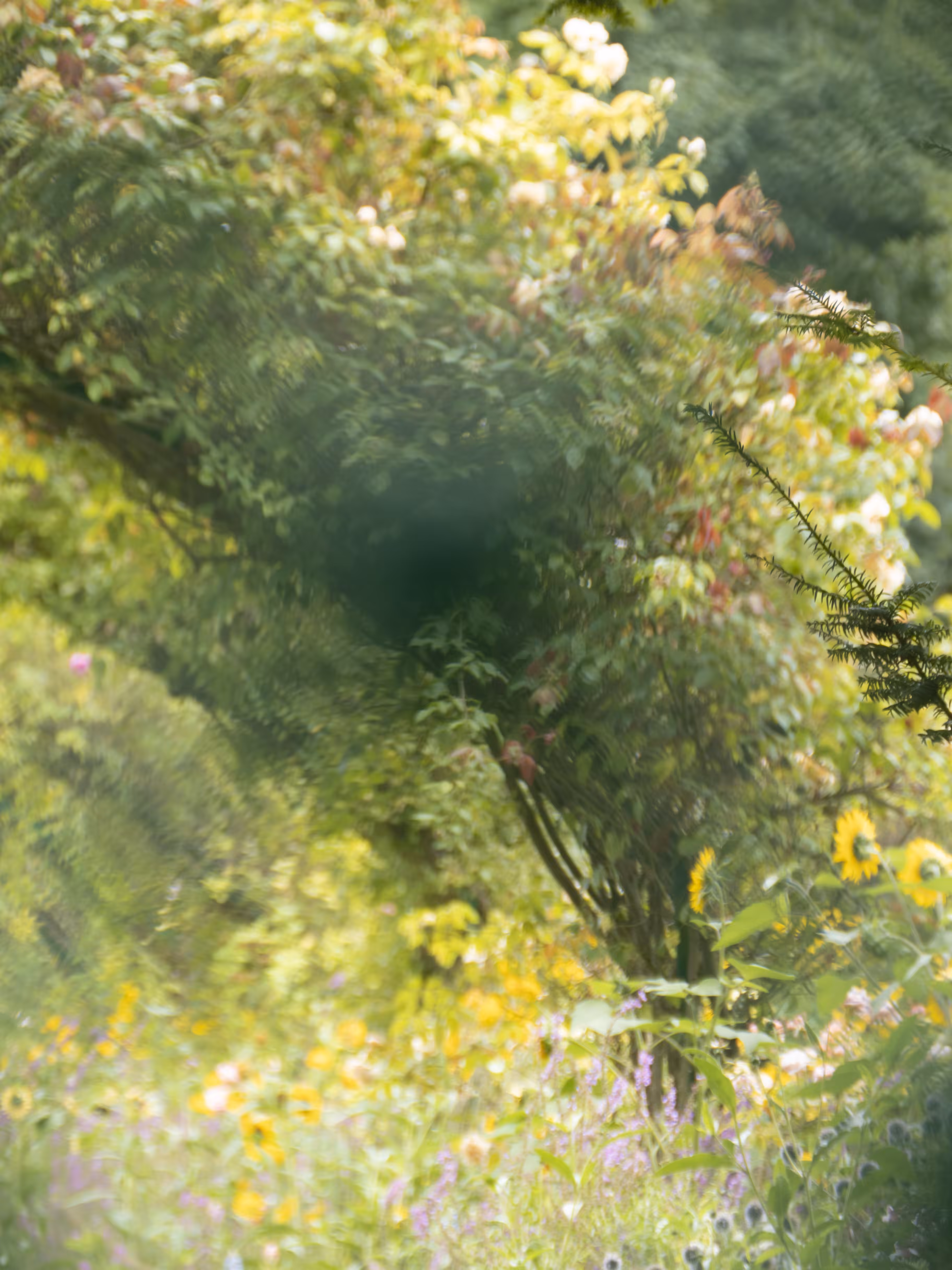 Giverny #1