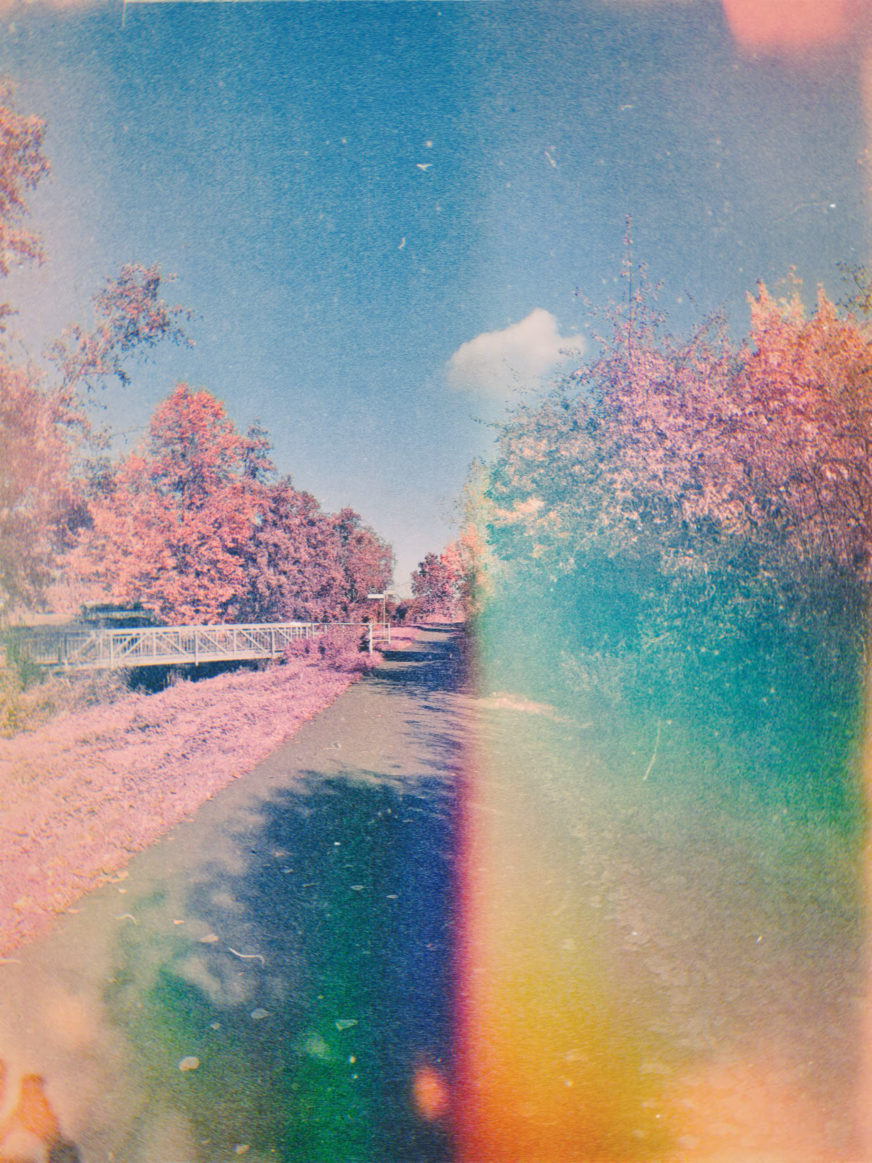 IR - Walk