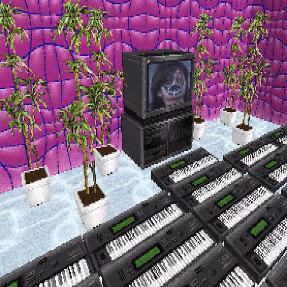 CYBERTRACKER