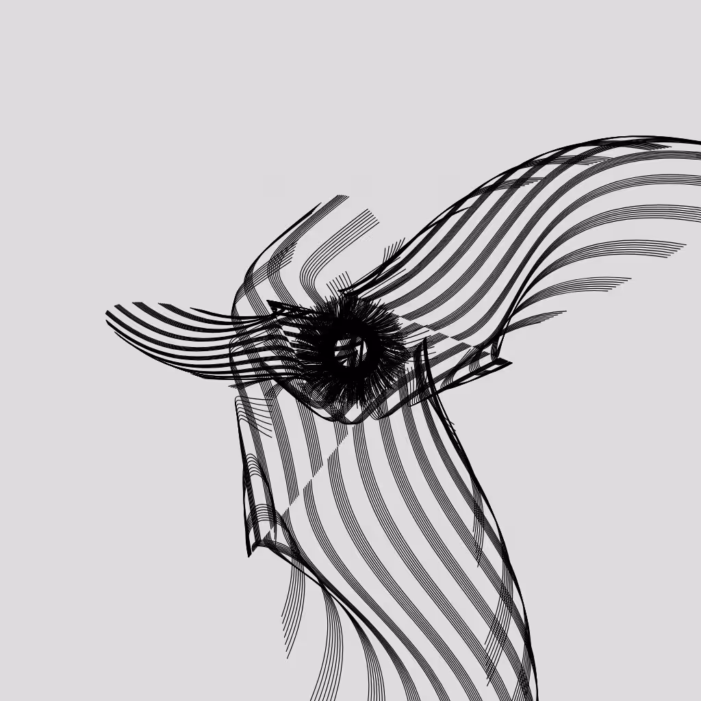 ANATOMY of a rabbit but bird #21