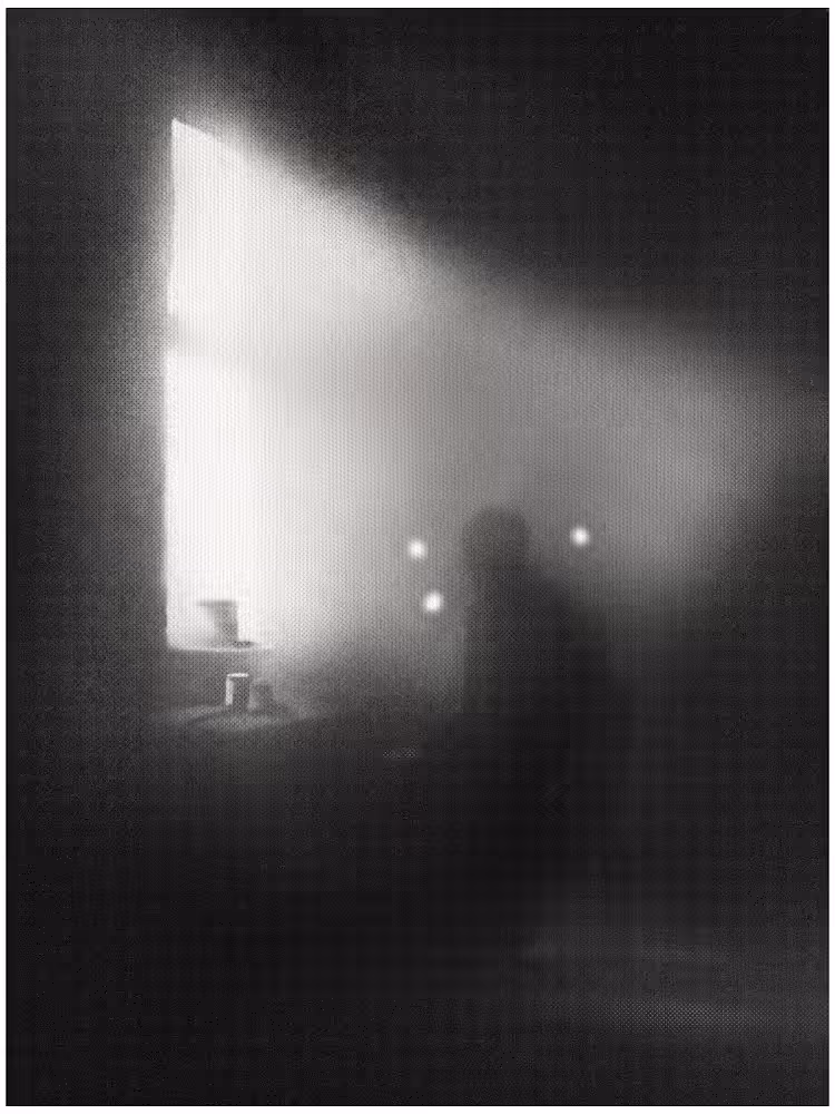 Monochrome: Man in Elysium
