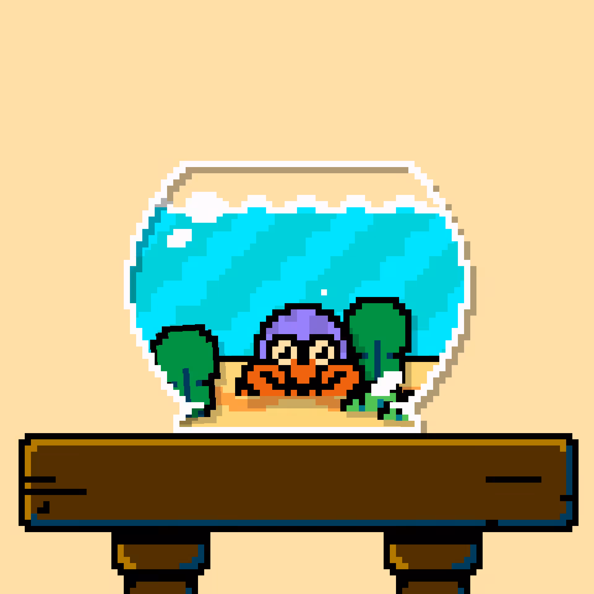 hermit crab #197