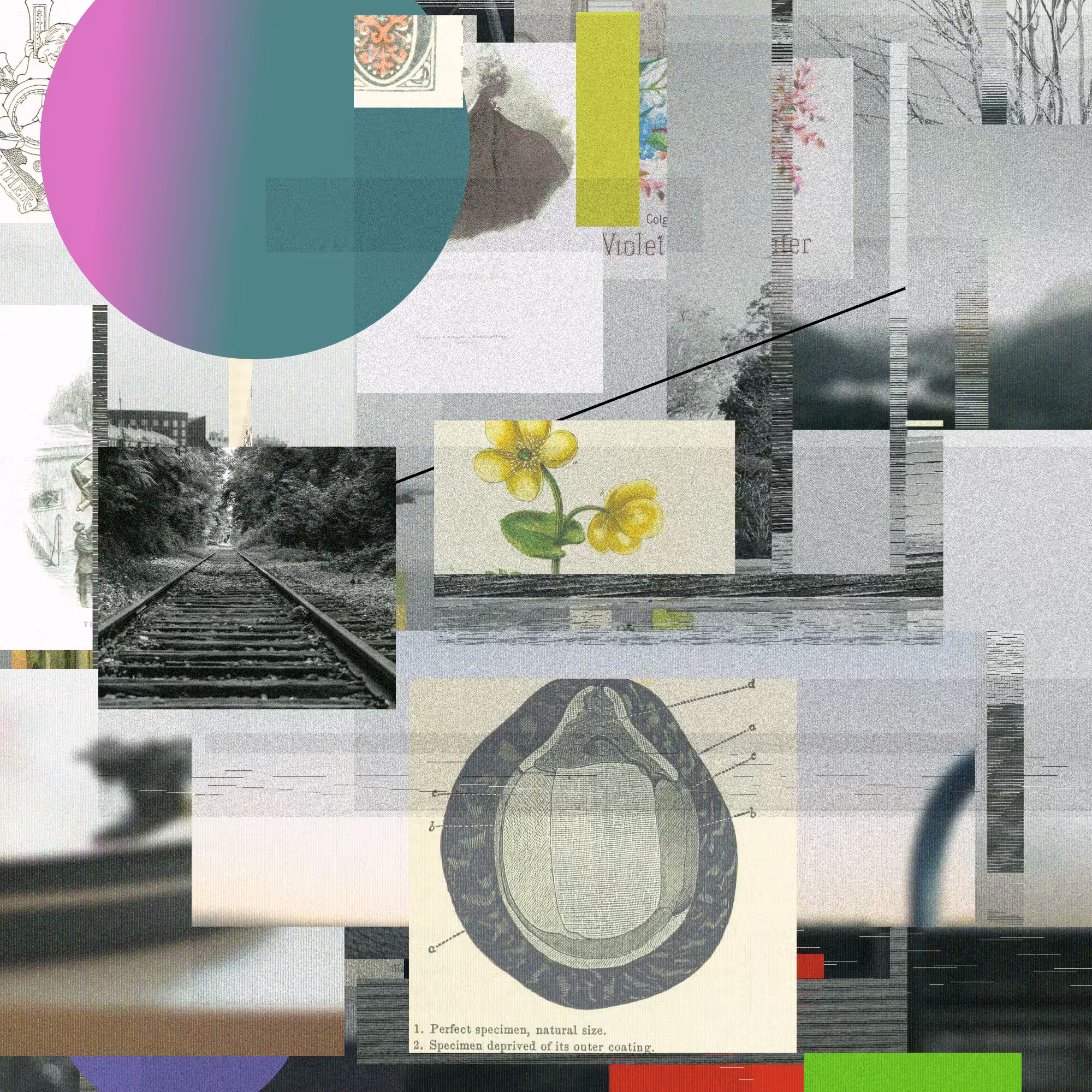 Unconscious Collages #1605